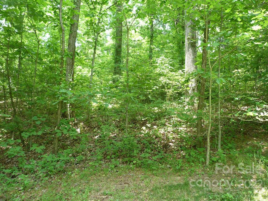 Champion Hills - Land