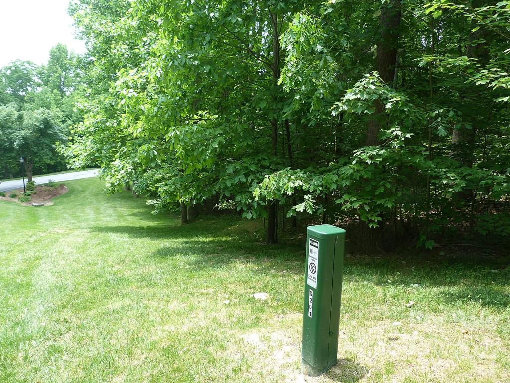 201 BENT PINE Trace 180