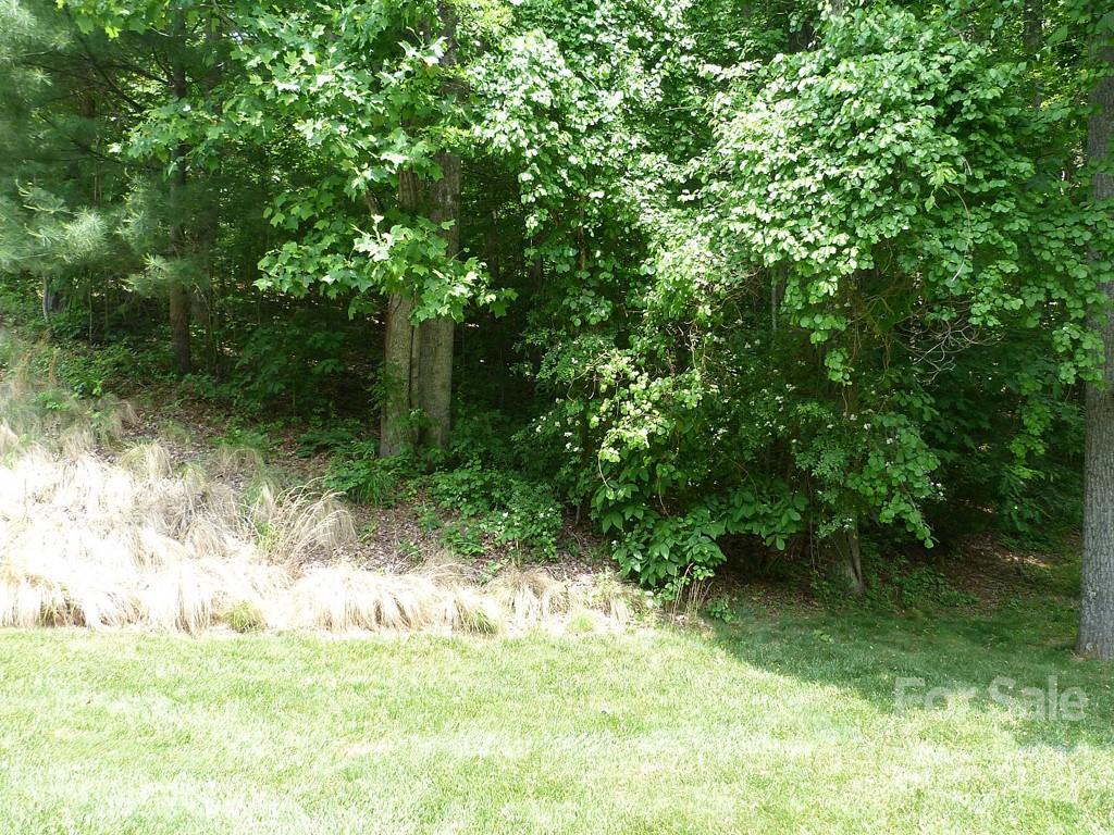 Champion Hills - Land