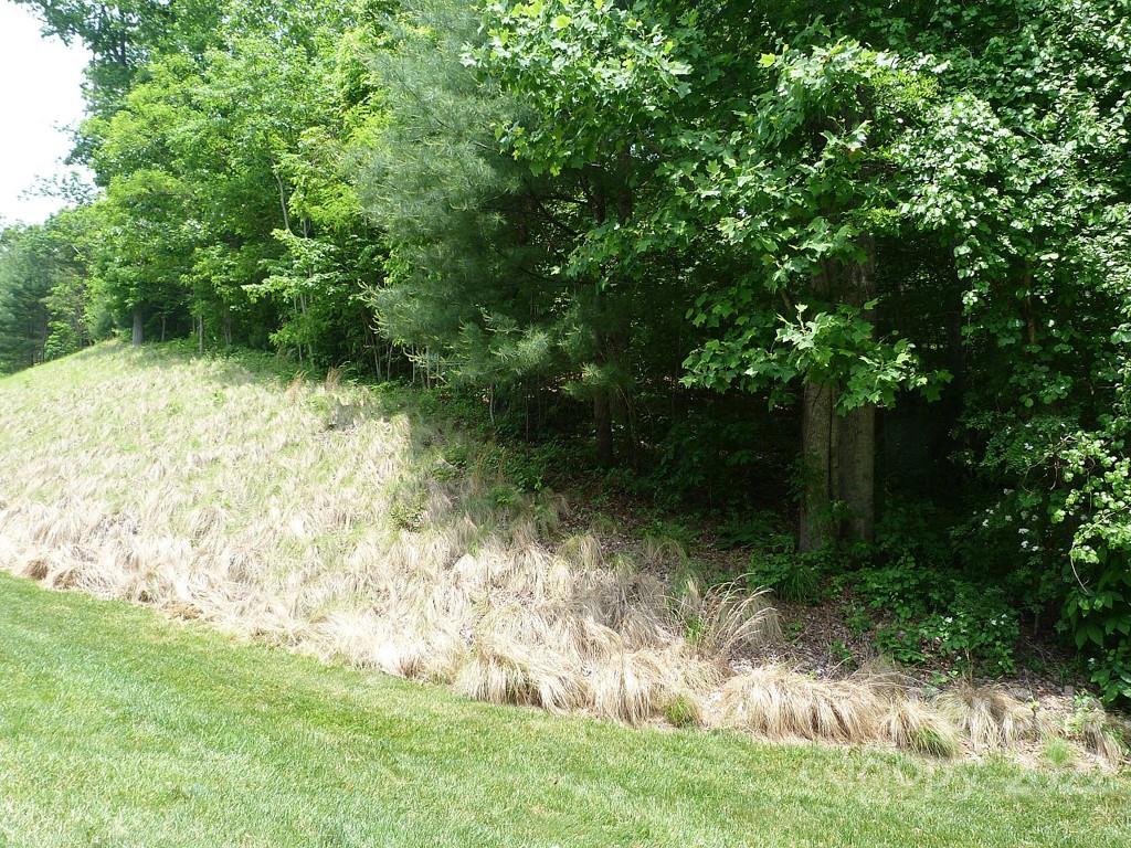 Champion Hills - Land