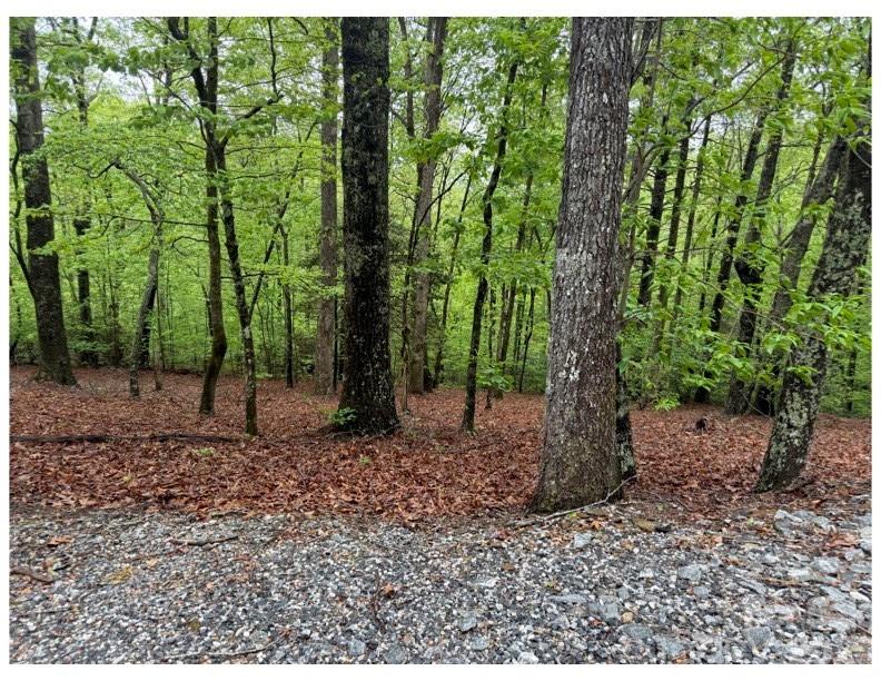 39 Black Bear Ridge Trail 20