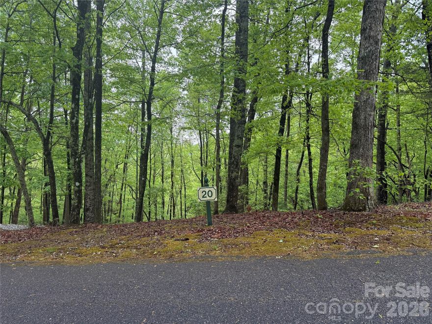It's time to build your dream mountain home! This beautiful, south-facing, corner lot is wooded with winter views of the mountains and Green River Valley. A gravel driveway has already been cut in, and a lovely boulder wall has been constructed as well. The peaceful and private Rock Creek neighborhood is an ideal mountain community, providing paved roads, underground utilities, and gated access.  Located very close to all the amenities of Flat Rock and Hendersonville, and an easy drive to/from Asheville and Greenville/Spartanburg.