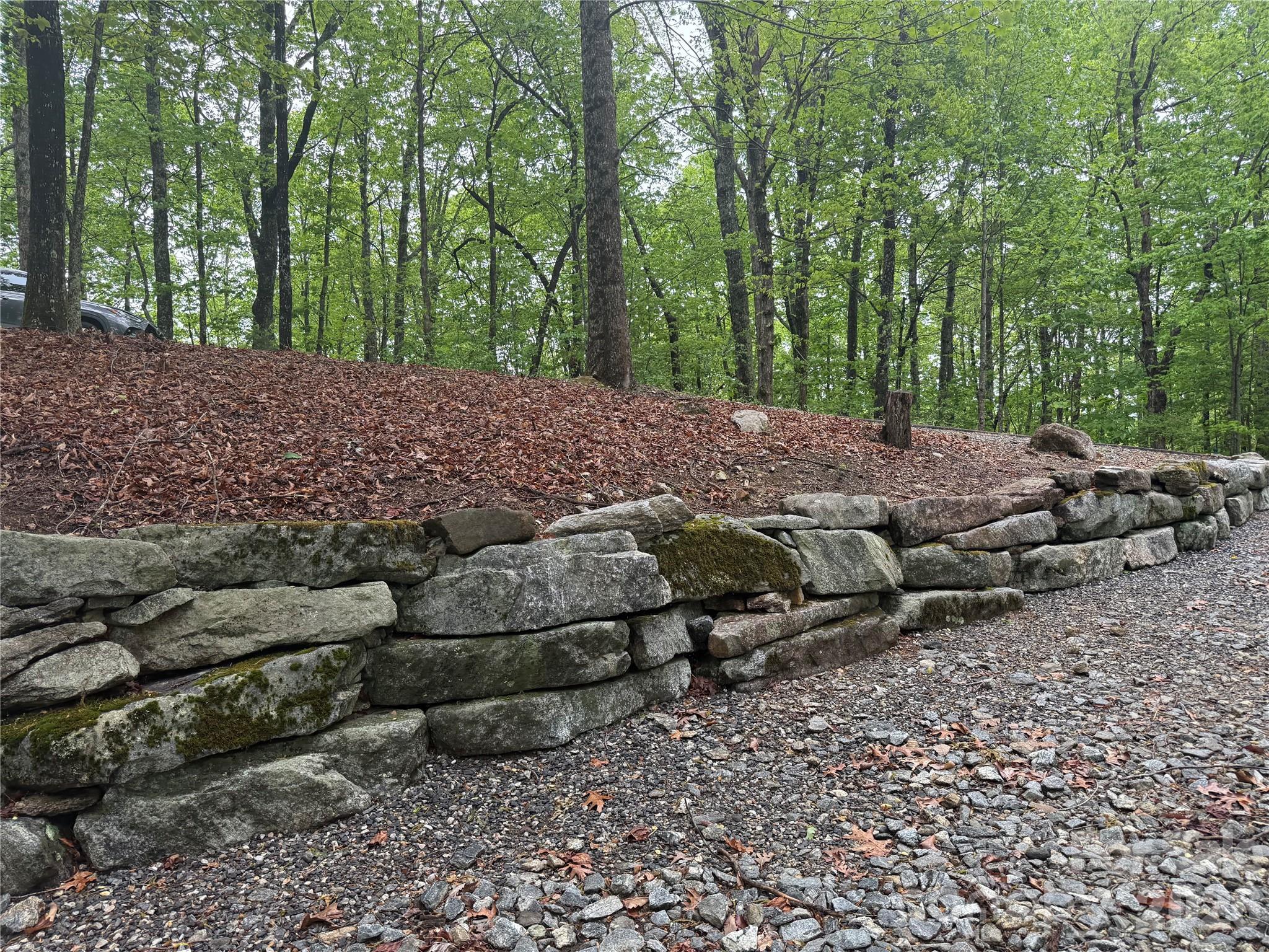 39 Black Bear Ridge Trail 20