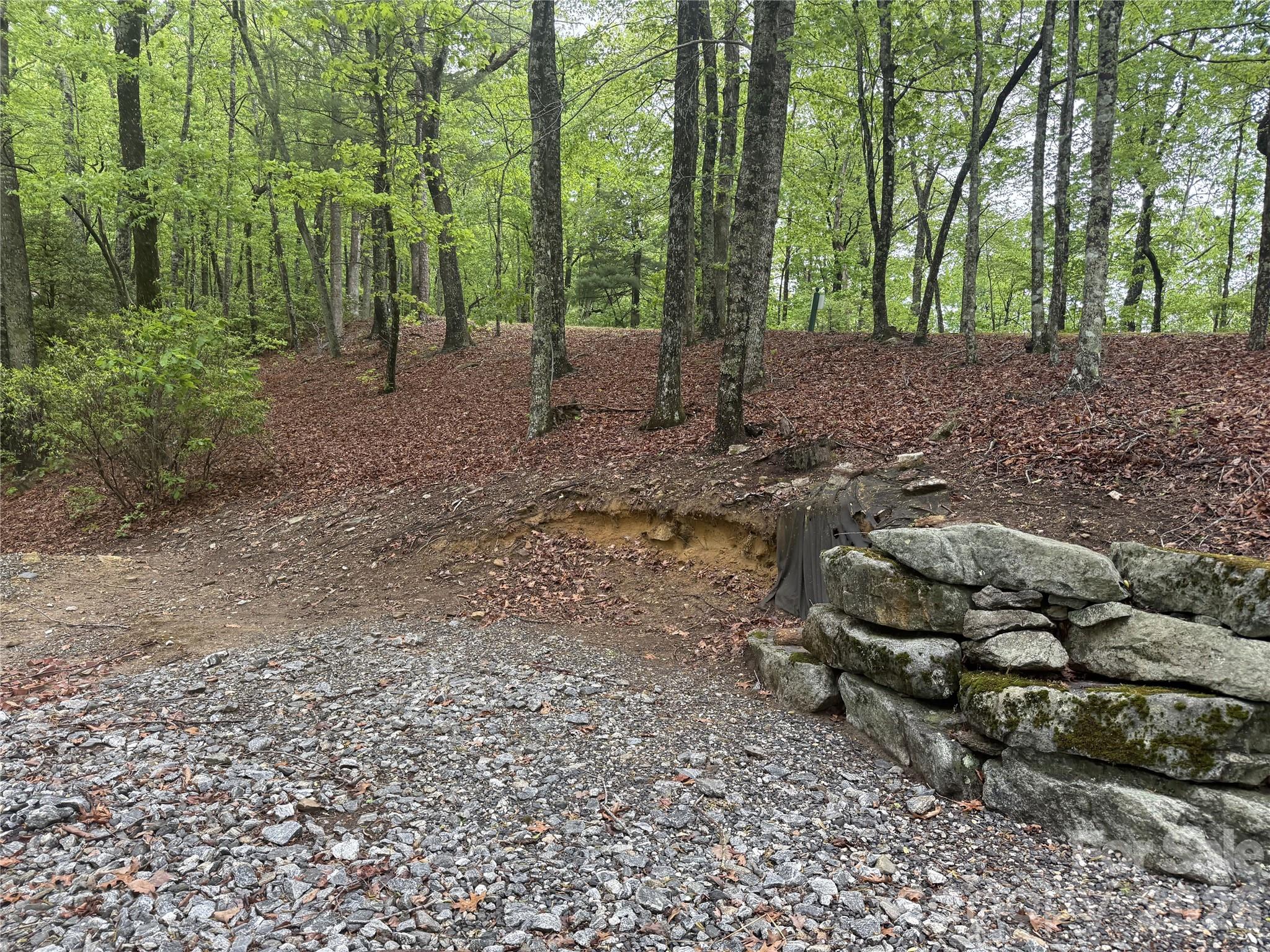 39 Black Bear Ridge Trail 20