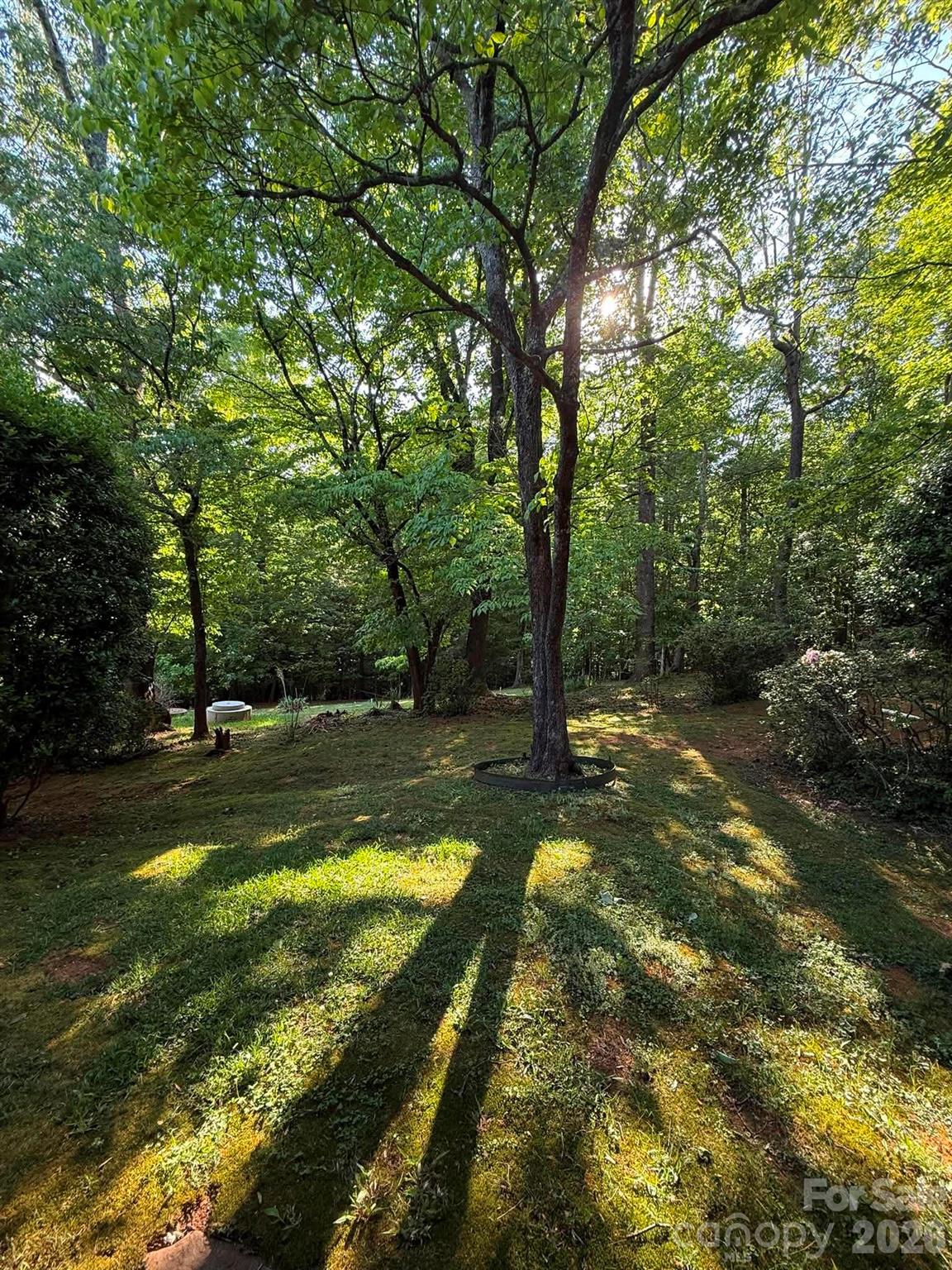 Hunting Country Trails - Residential
