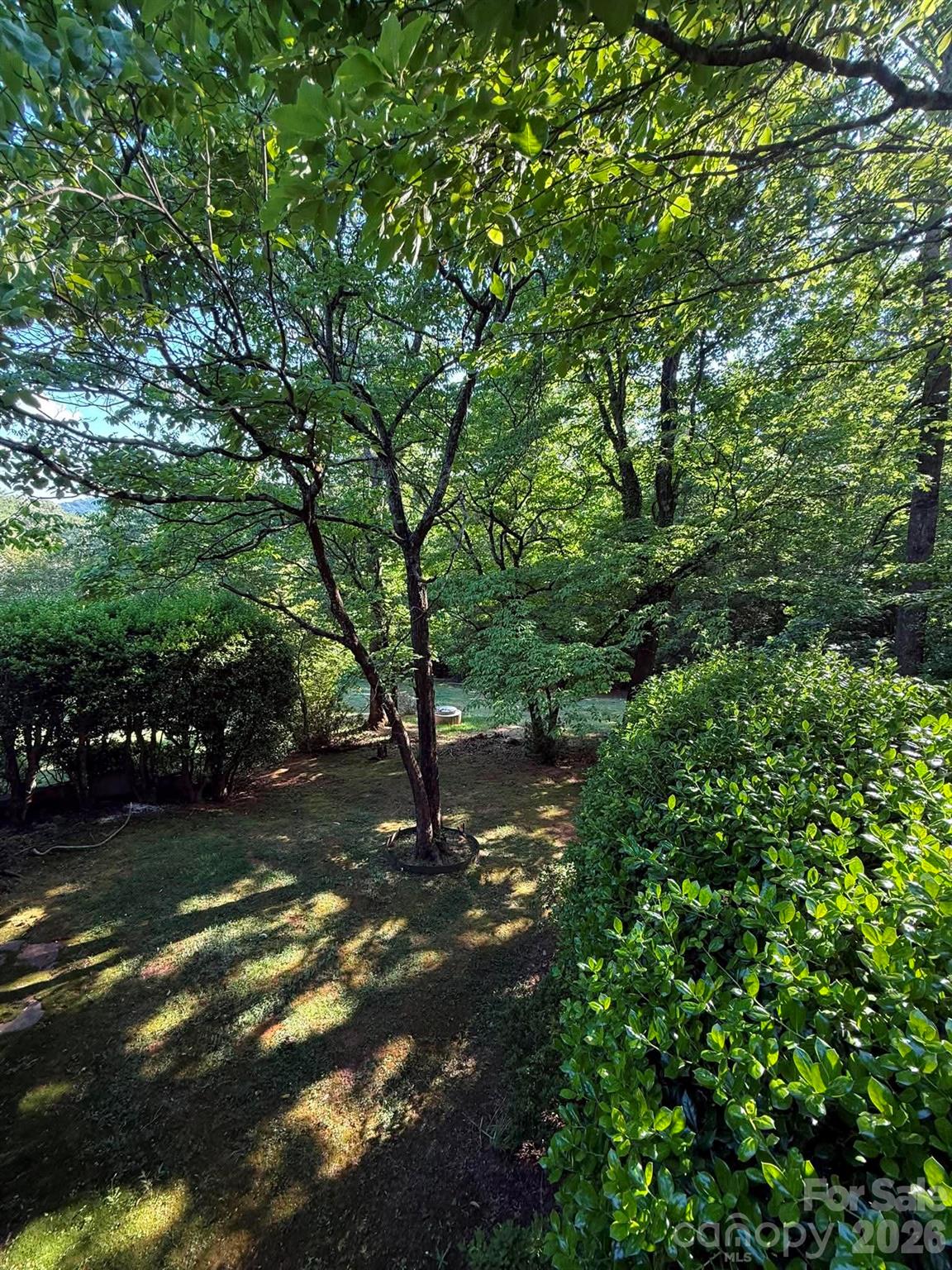 Hunting Country Trails - Residential