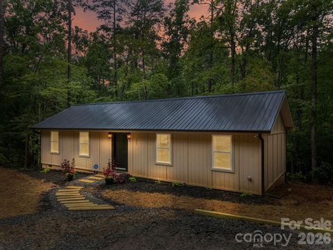 257 Roadrunner Circle Lake Lure NC 28746