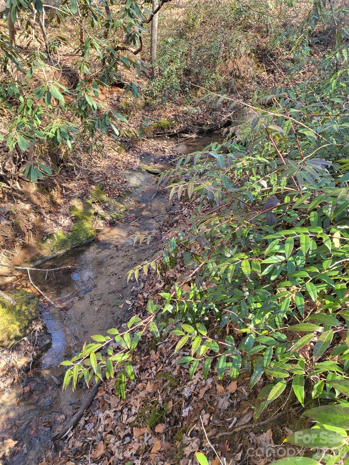Riverbend at Lake Lure - Residential