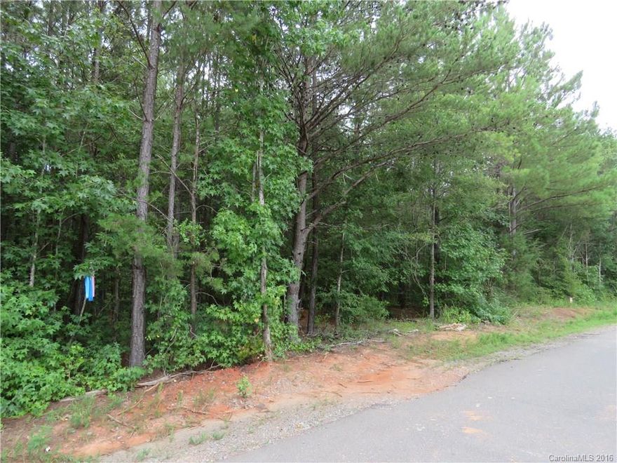 Build on your own lot!  This lot is rectangular, wooded, has been perked for a 5 bedroom house and has a survey on file.