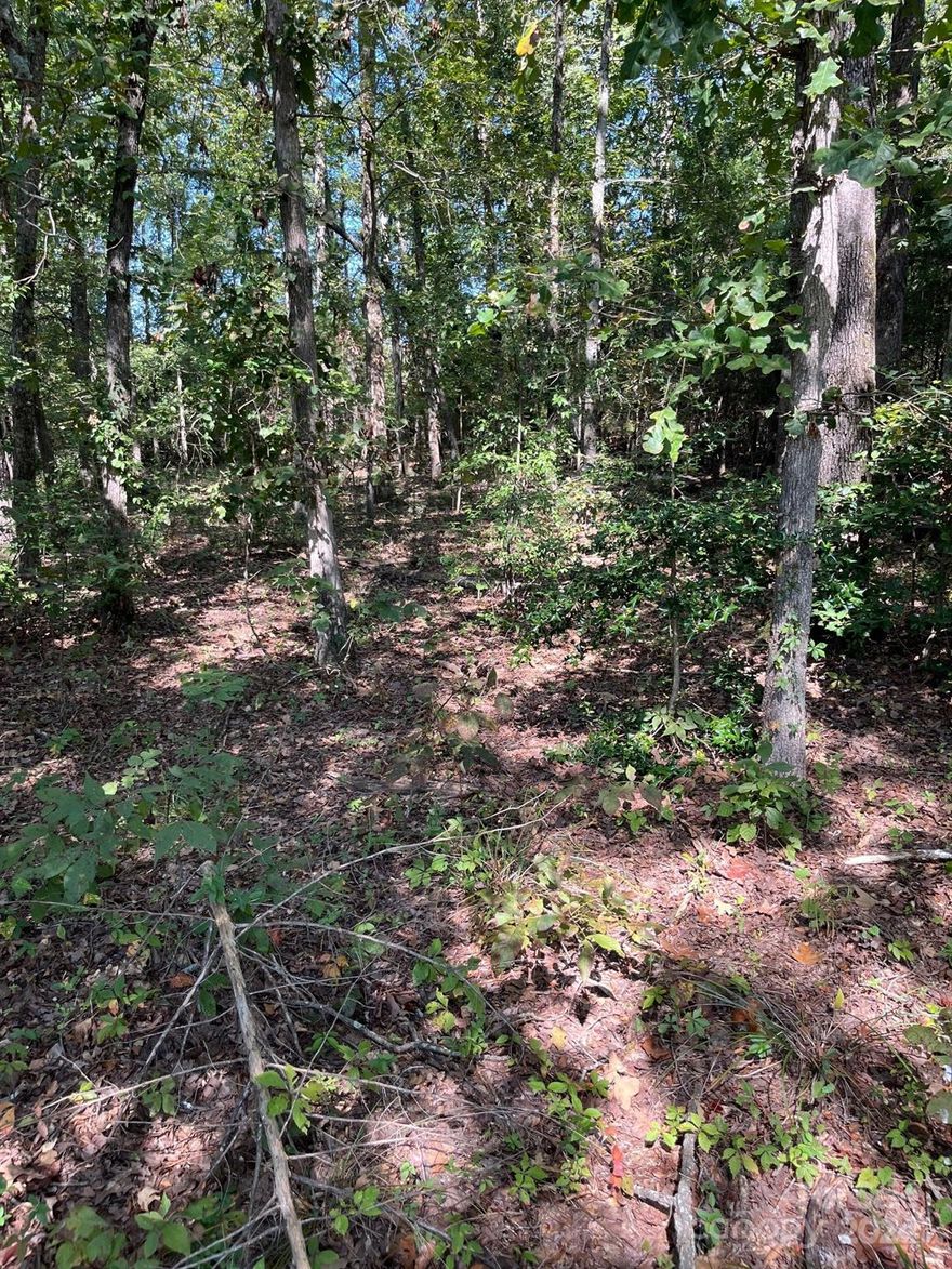 Current zoning is rare small GC, zoned. Established residential property currently on Mint Street. Water and Sewer on the street. Buyer to perform all due diligence pertaining to their satisfaction. Please verify any and all information before submitting your offer including but not limited to building restrictions, utility connections etc. Verify availability of water and sewer. Also listed as land/lot on MLS#4177546