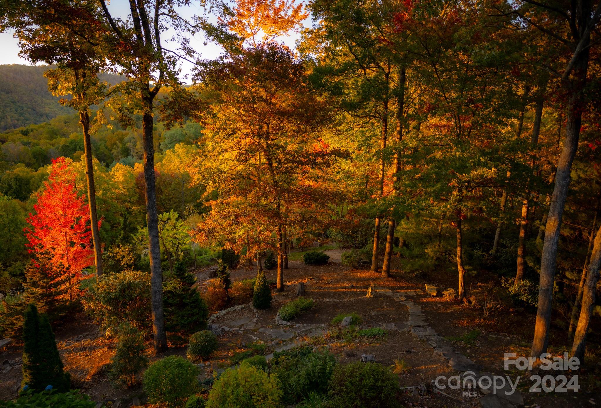 Poplar Ridge - Residential