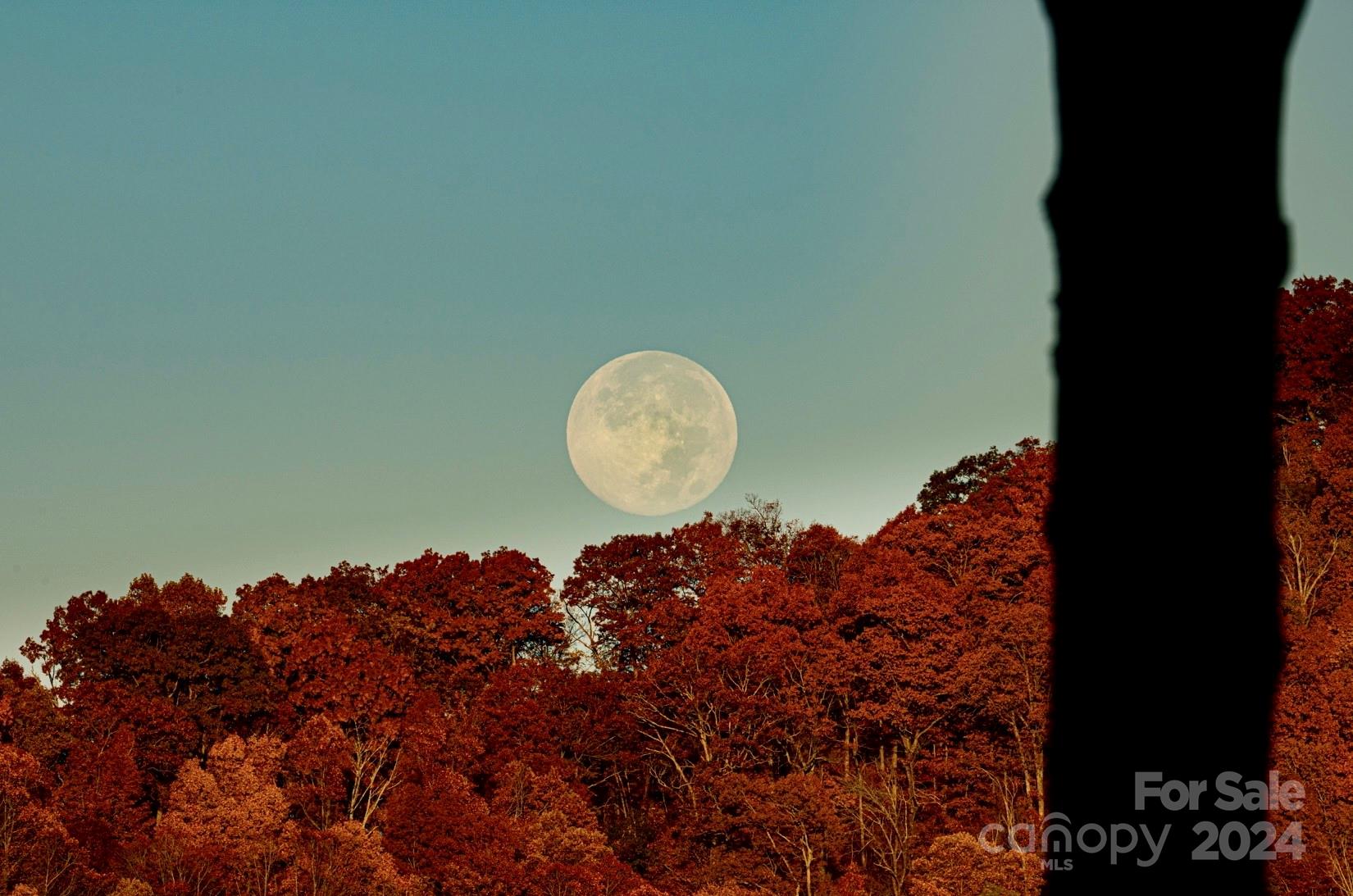 Poplar Ridge - Residential