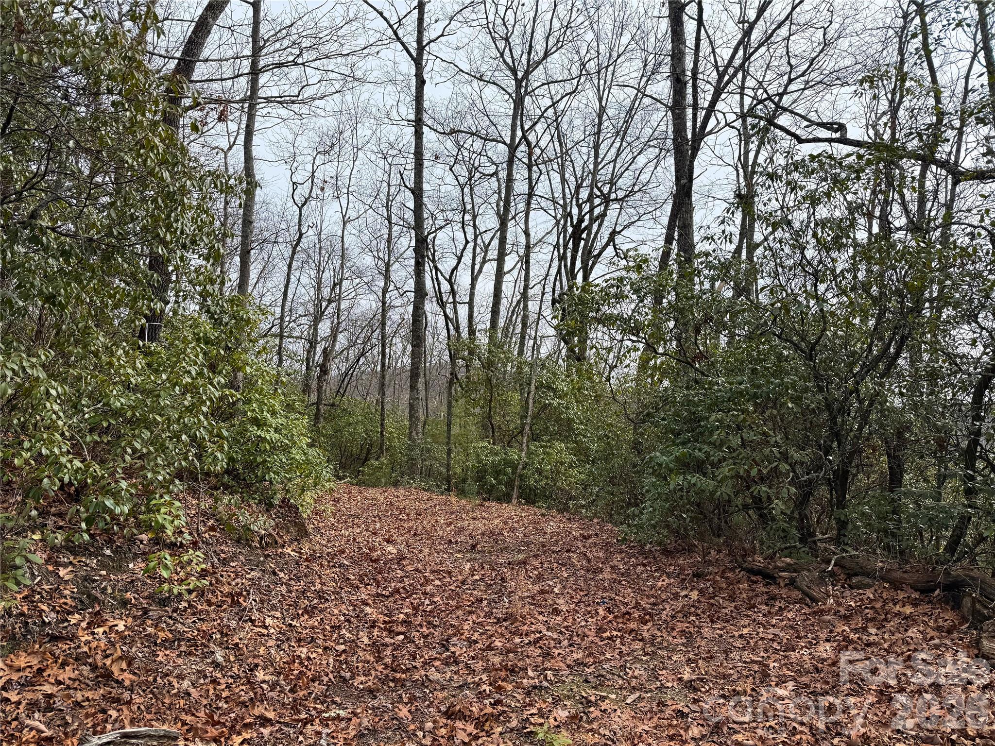 TBD Laurel Thicket Lane