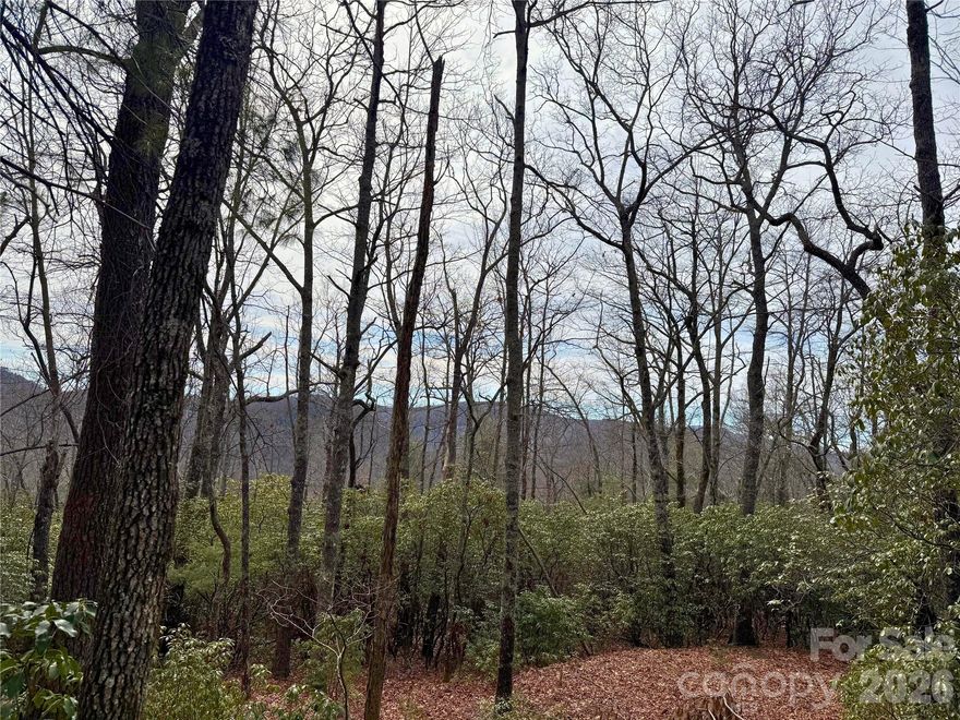 Build your dream mountain retreat in Big Hill at nearly 3,000 feet in elevation. This exceptional homesite offers cool summer temperatures, fresh mountain air, and stunning long distance views overlooking the 7,000 acre Headwaters State Forest. Wake up to layered mountain vistas and end your evenings with peaceful sunsets from your future porch. Big Hill is ideally located just 20 minutes from Brevard and DuPont State Forest, giving you quick access to world class hiking, mountain biking, and waterfalls. Nearby East Fork Road, named for the stocked East Fork River, provides public trout fishing along with access to miles of scenic trails and unspoiled natural beauty throughout Headwaters State Forest. A rare opportunity to create a private mountain getaway surrounded by protected land and endless outdoor adventure.