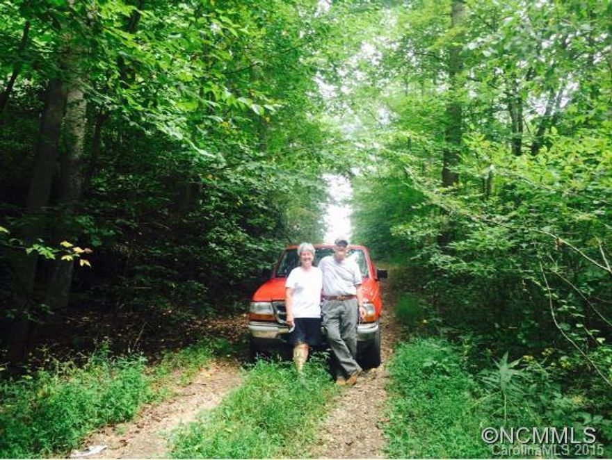 So far but yet so near. Just down from Black Mountain in Old Fort, affordability resides. Because this acreage is so near I-40 but without the acoustics, it is so affordable it's almost wrong. There is an old pad with power to it. So easy to get up and  going immediately. Paved state front and old house on lower acreage. This is almost buy one get 3 three. A great deal Buy it and use it or rent it out. Spring, Views, Mountain, Easy Access. EM to Buyer Attorney. Small Shed Encroaching on Neigbor