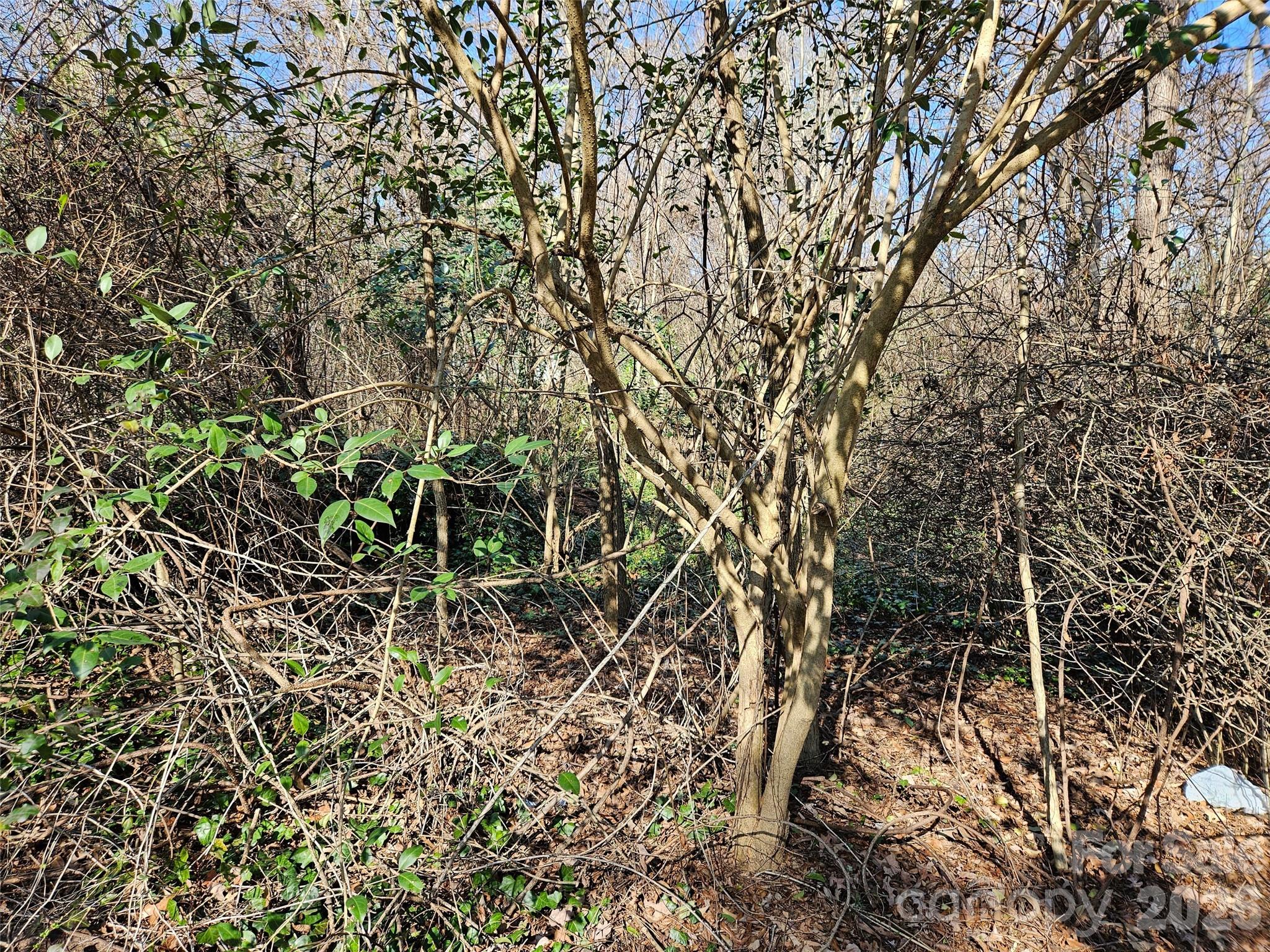 0 Weathers Street 21