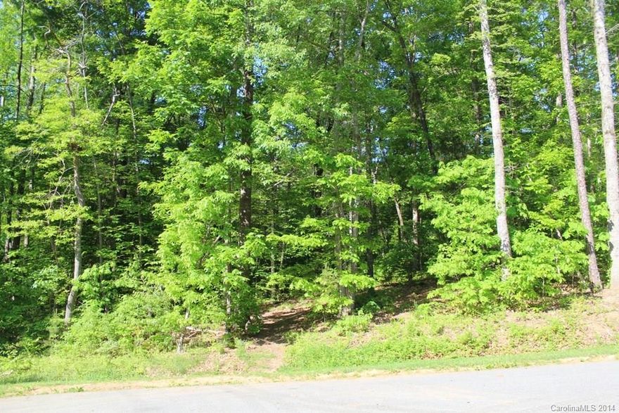 Building lot in Shelby ETJ. Convenient to everything. Mobiles OK--consult City of Shelby zoning for details. Public water available, septic required, paved road 1.73 acres.  ***NOTE: 3 lots sold together (Lots 10, 11 & 12) for $23,000. One did not perk per seller.***