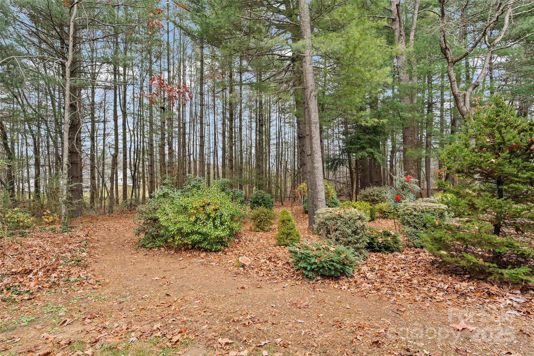 Charlestown Place - Residential