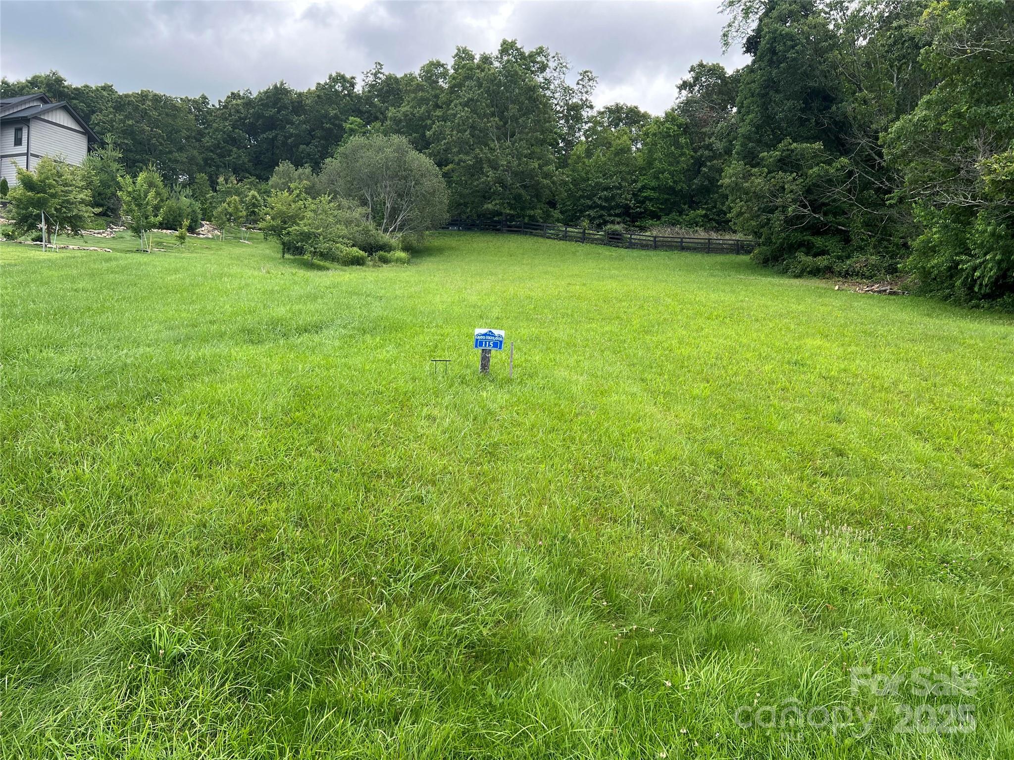4642 Bearwallow Mountain Road 115