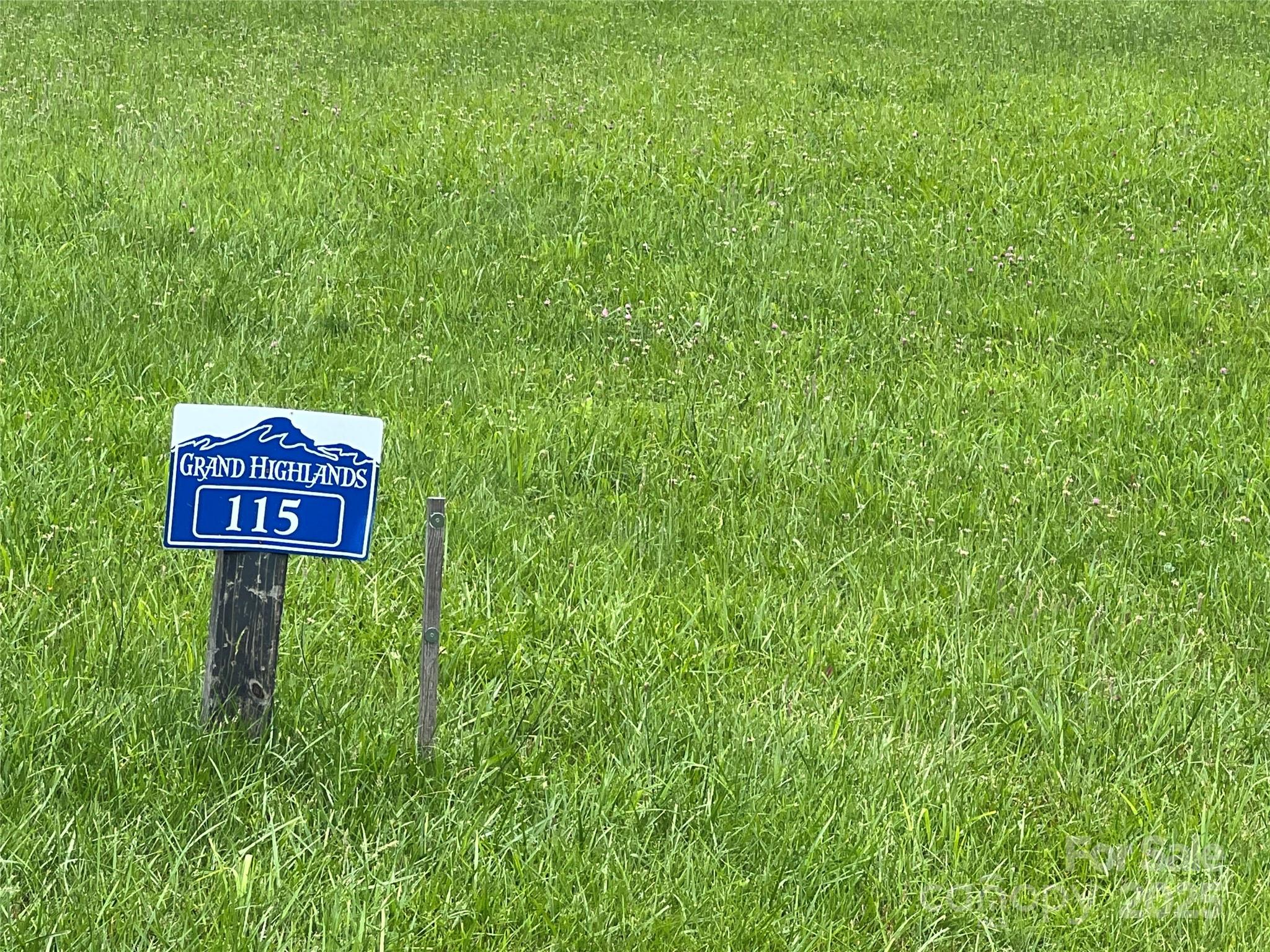 4642 Bearwallow Mountain Road 115