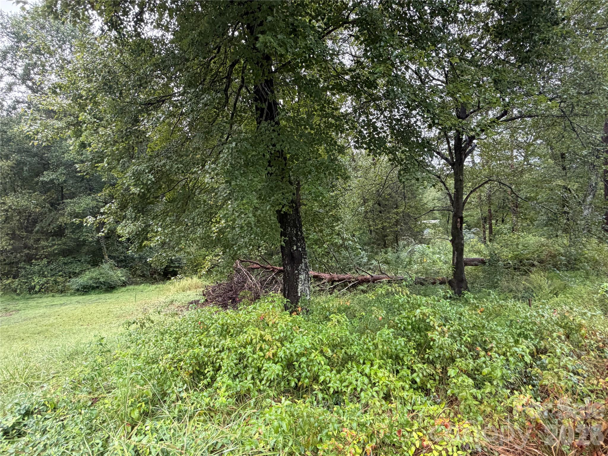 150 Hall Drive