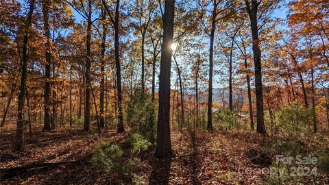 512 Wild River Run 65 Marshall NC 28753