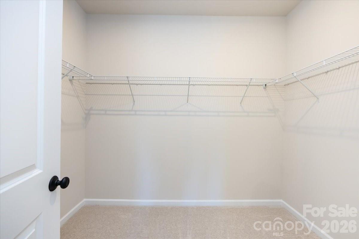 Bellflower - Residential