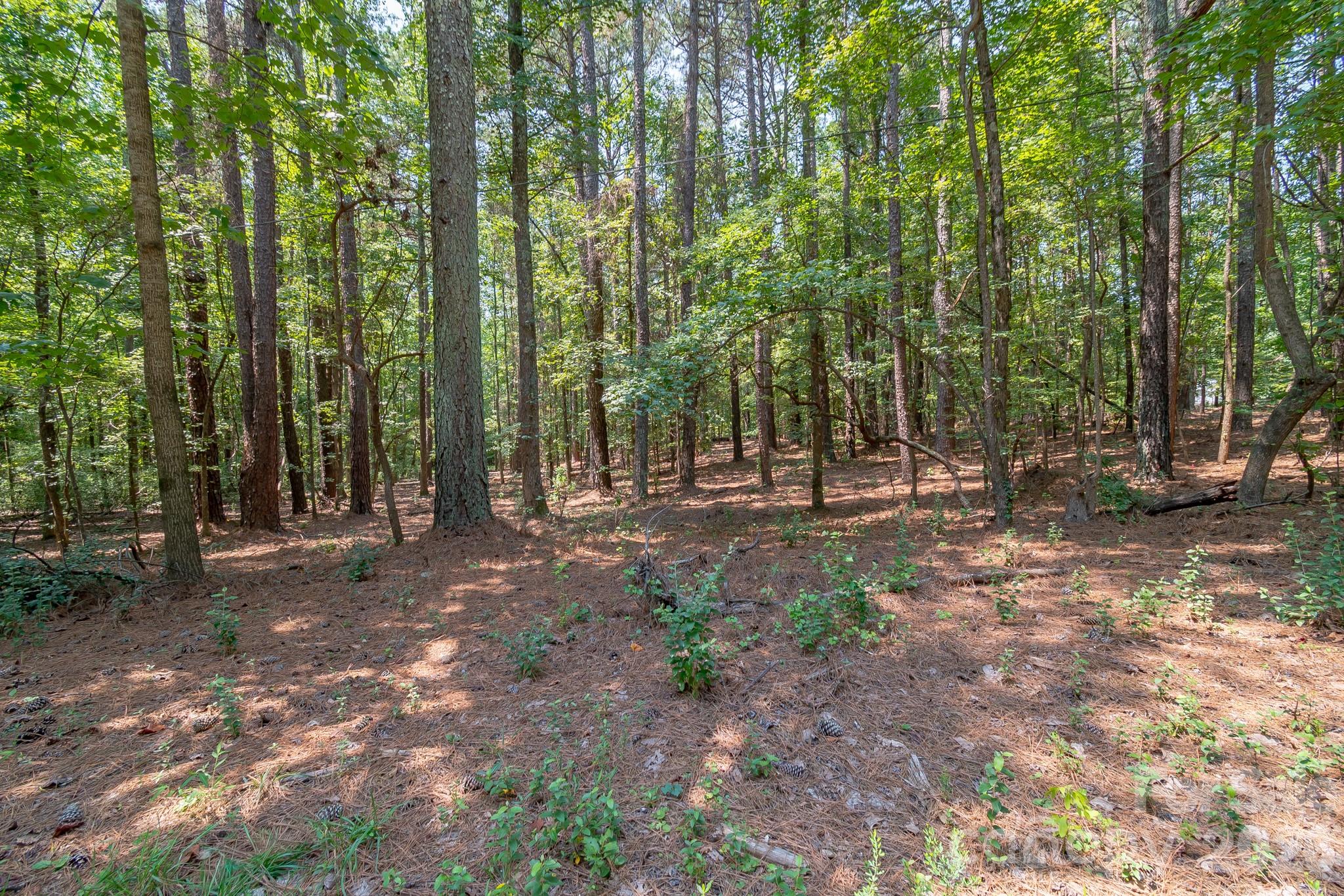 5316 Rehobeth Road