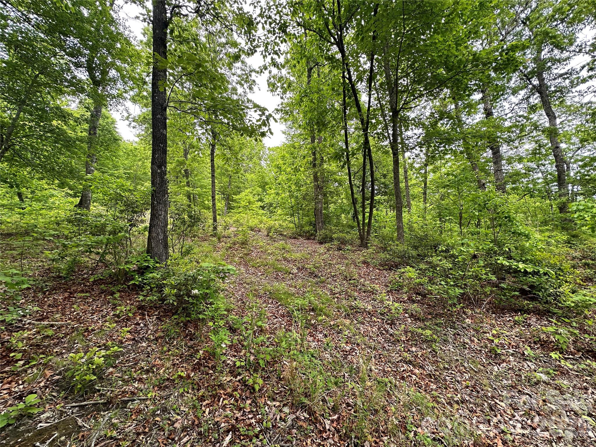 Bird Creek Estates - Land