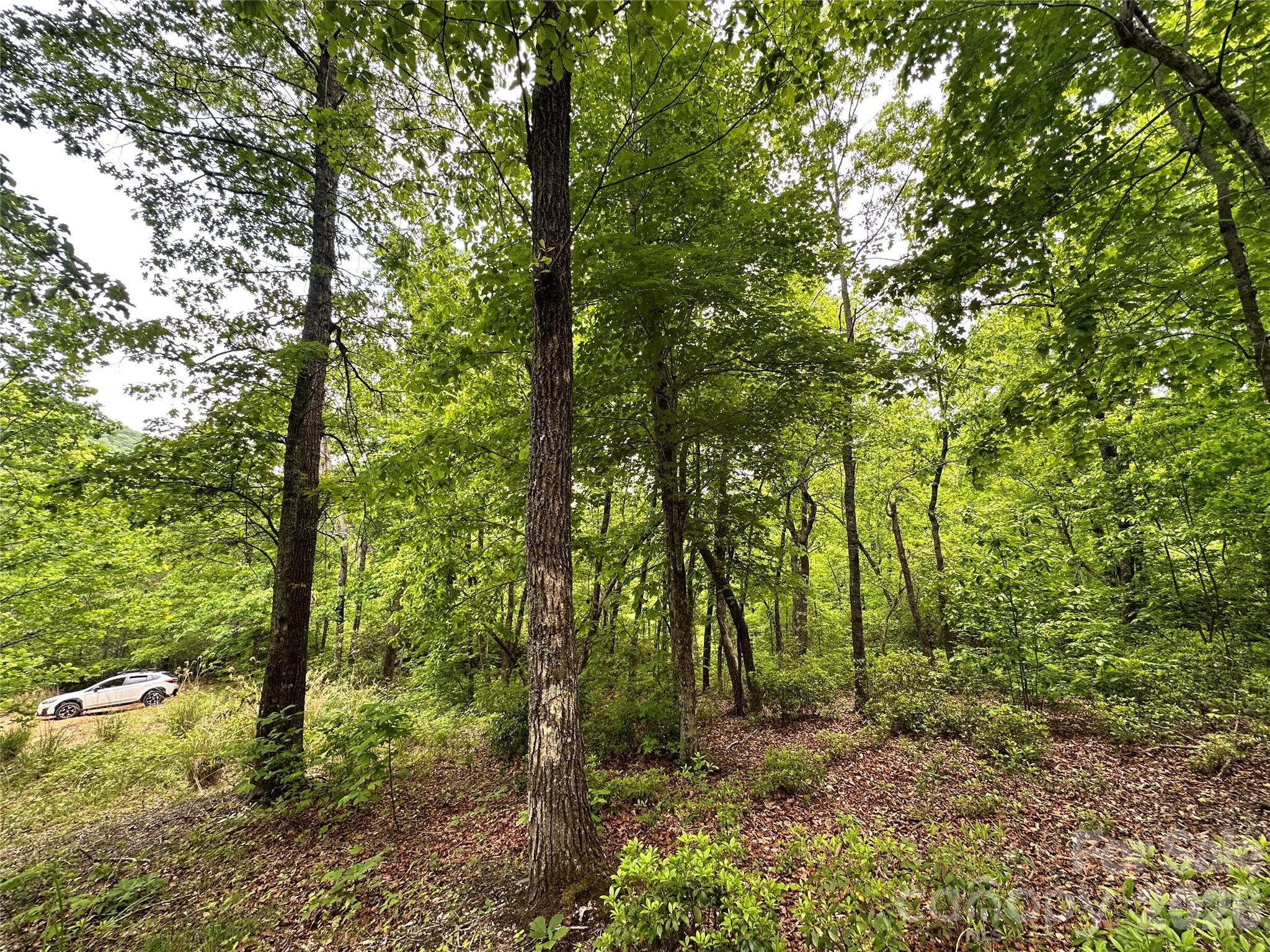 Bird Creek Estates - Land