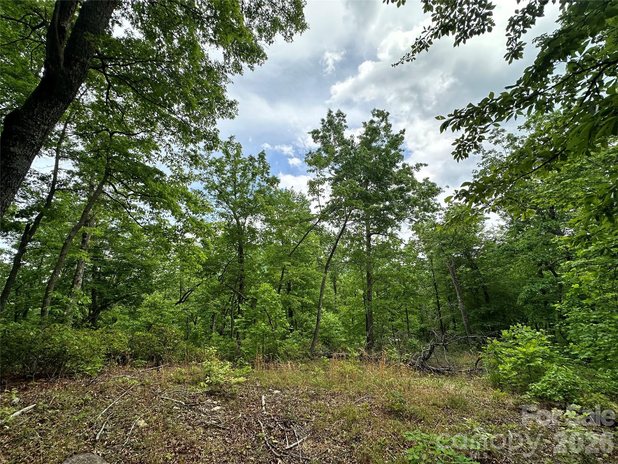 Bird Creek Estates - Land