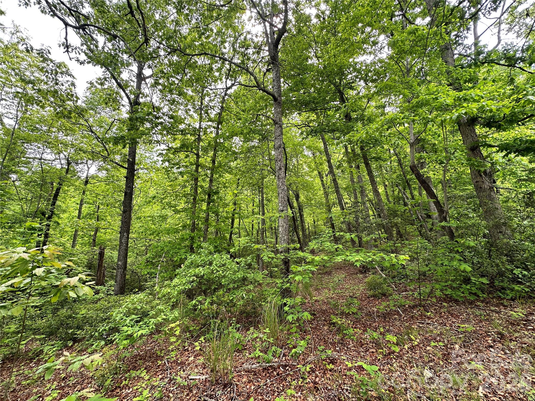 Bird Creek Estates - Land