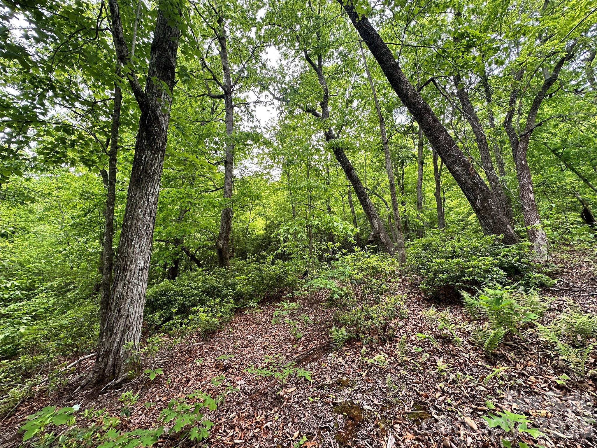 Bird Creek Estates - Land