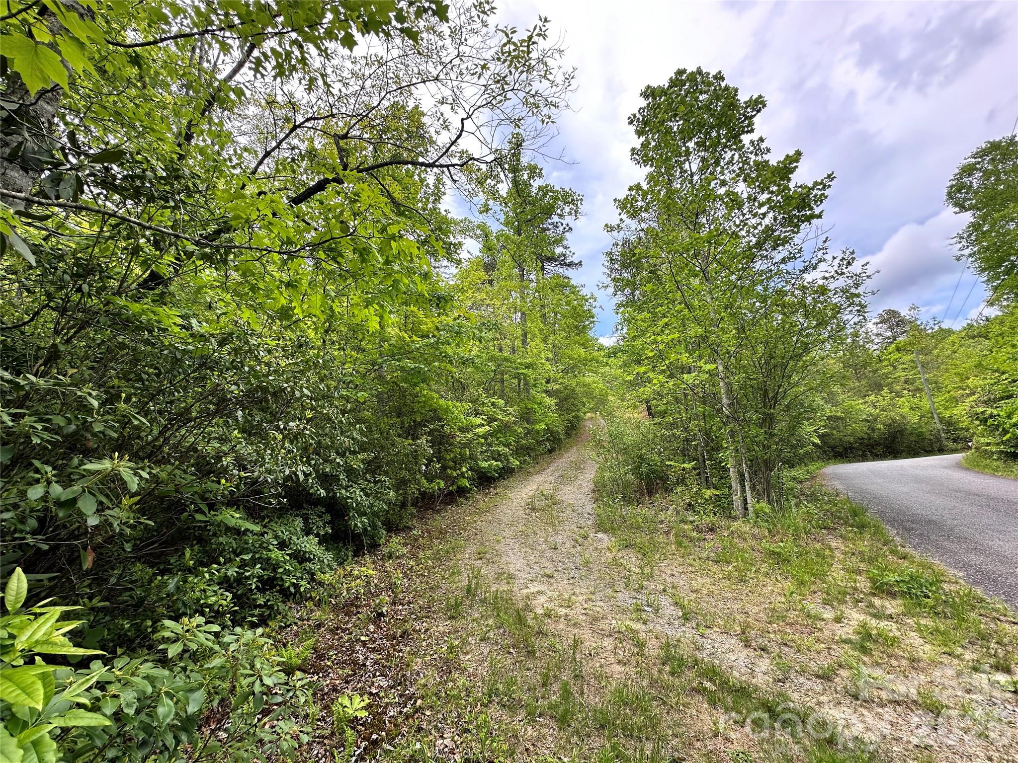 Bird Creek Estates - Land