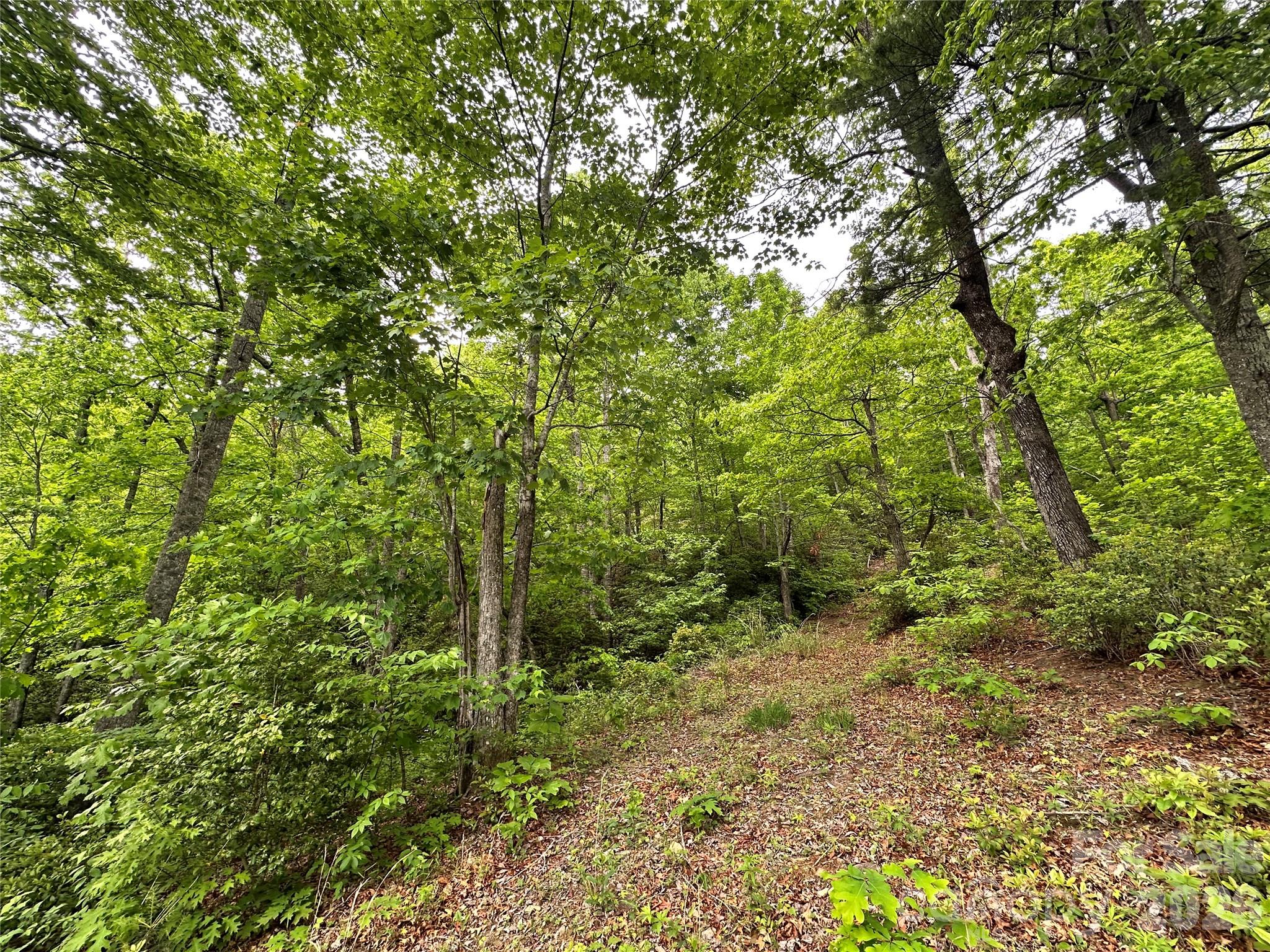 Bird Creek Estates - Land