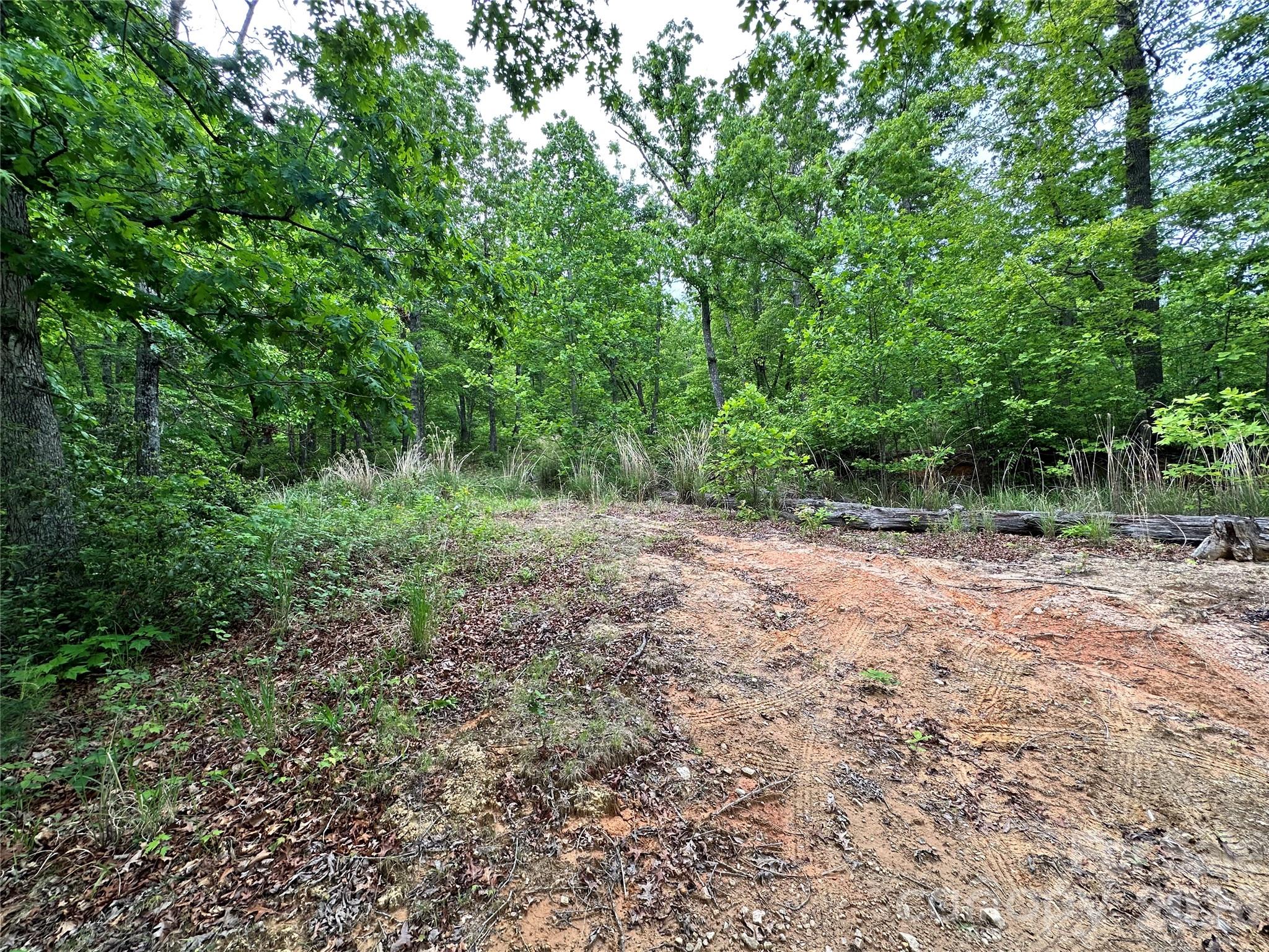 99999 Bird Creek Estates Road