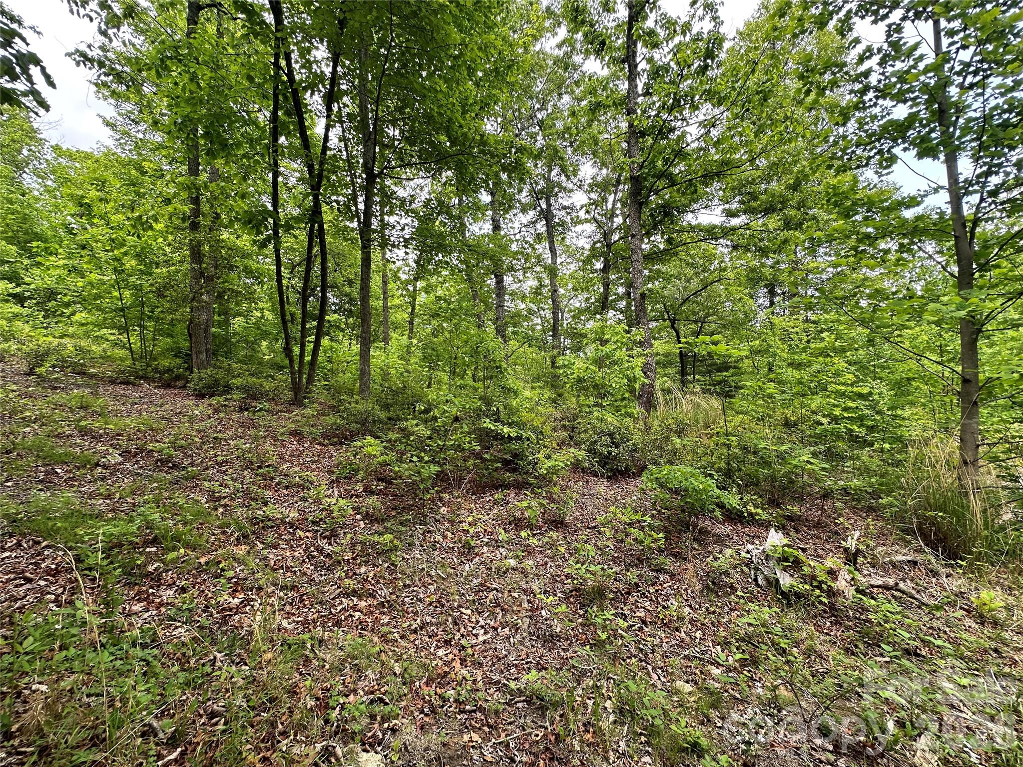 Bird Creek Estates - Land