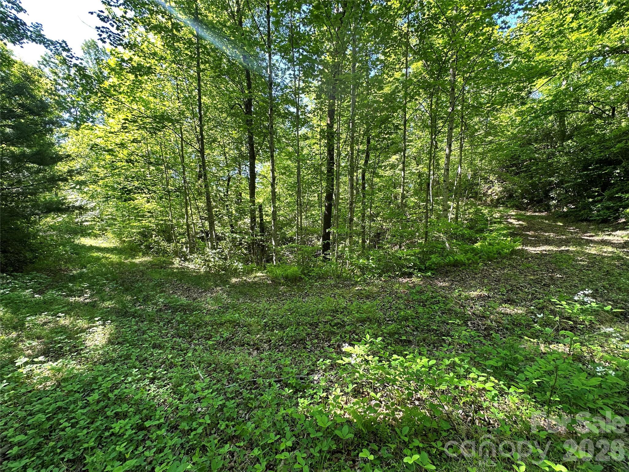 Bird Creek Estates - Land