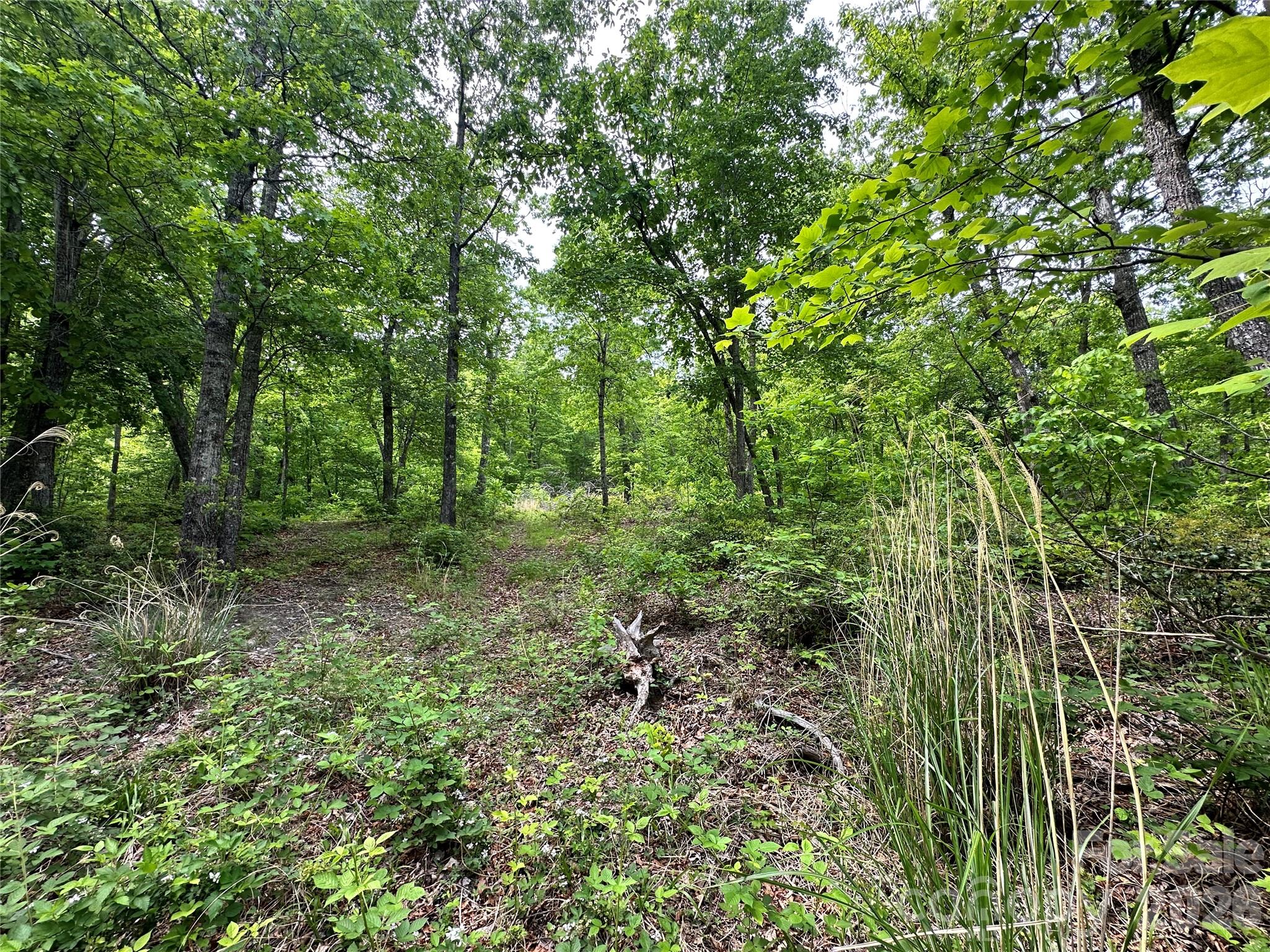 Bird Creek Estates - Land