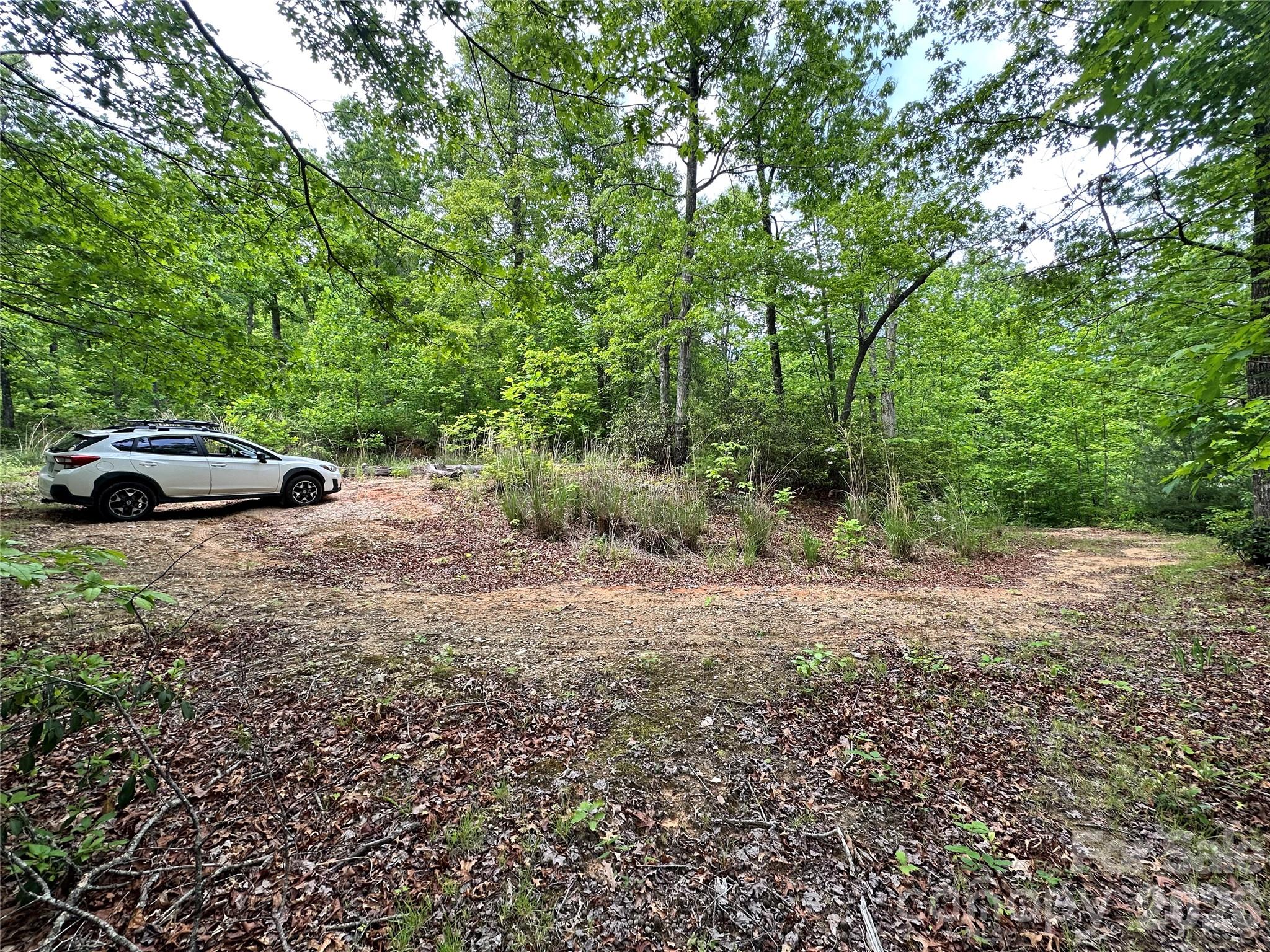 Bird Creek Estates - Land