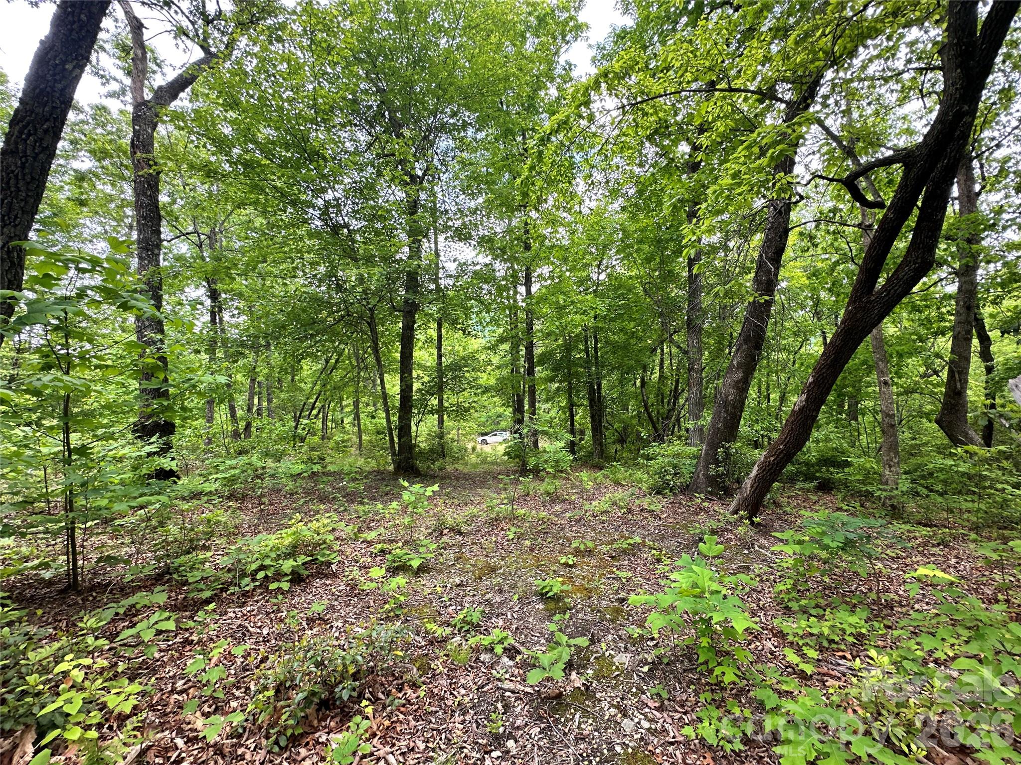 Bird Creek Estates - Land