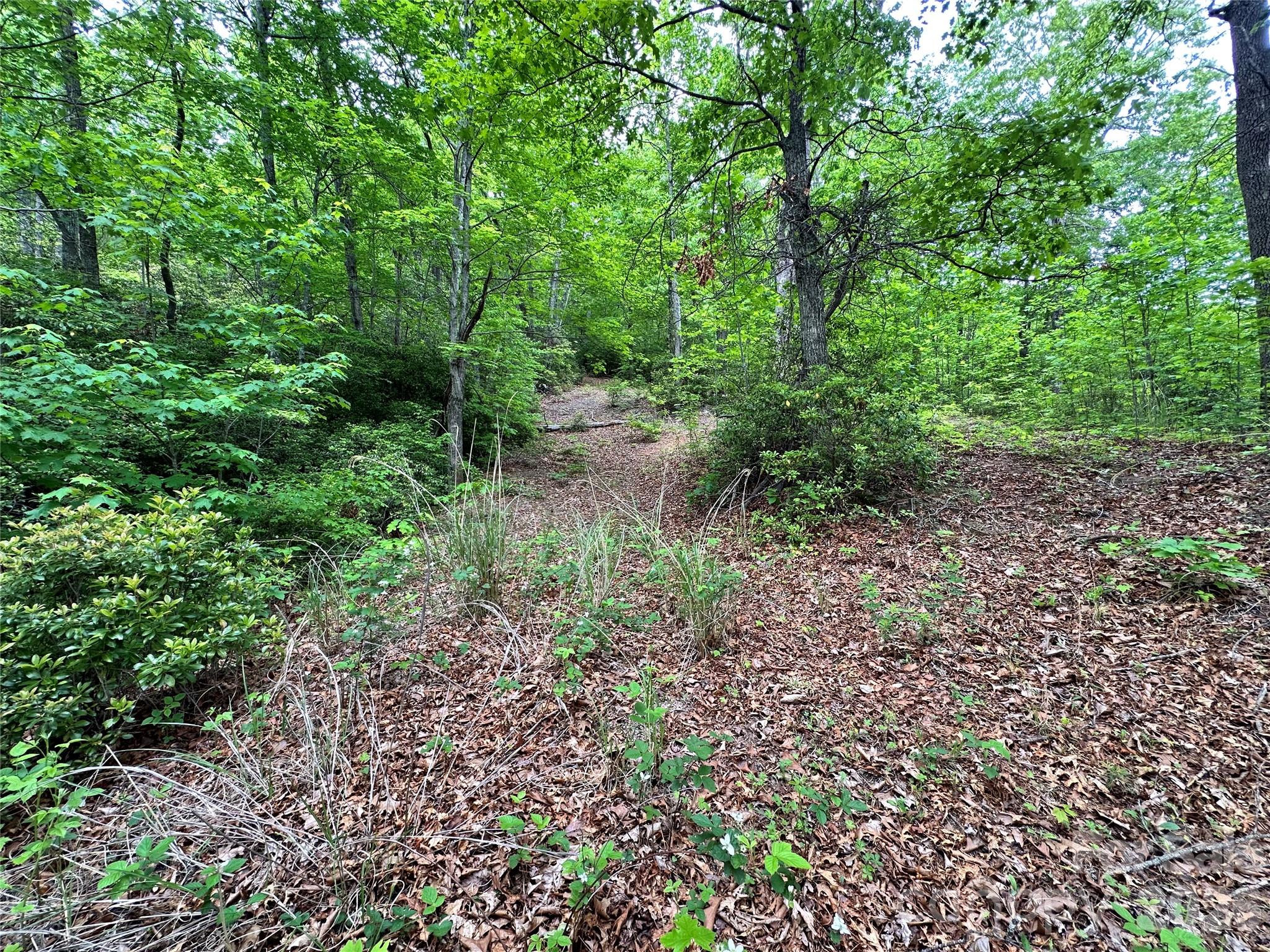 Bird Creek Estates - Land