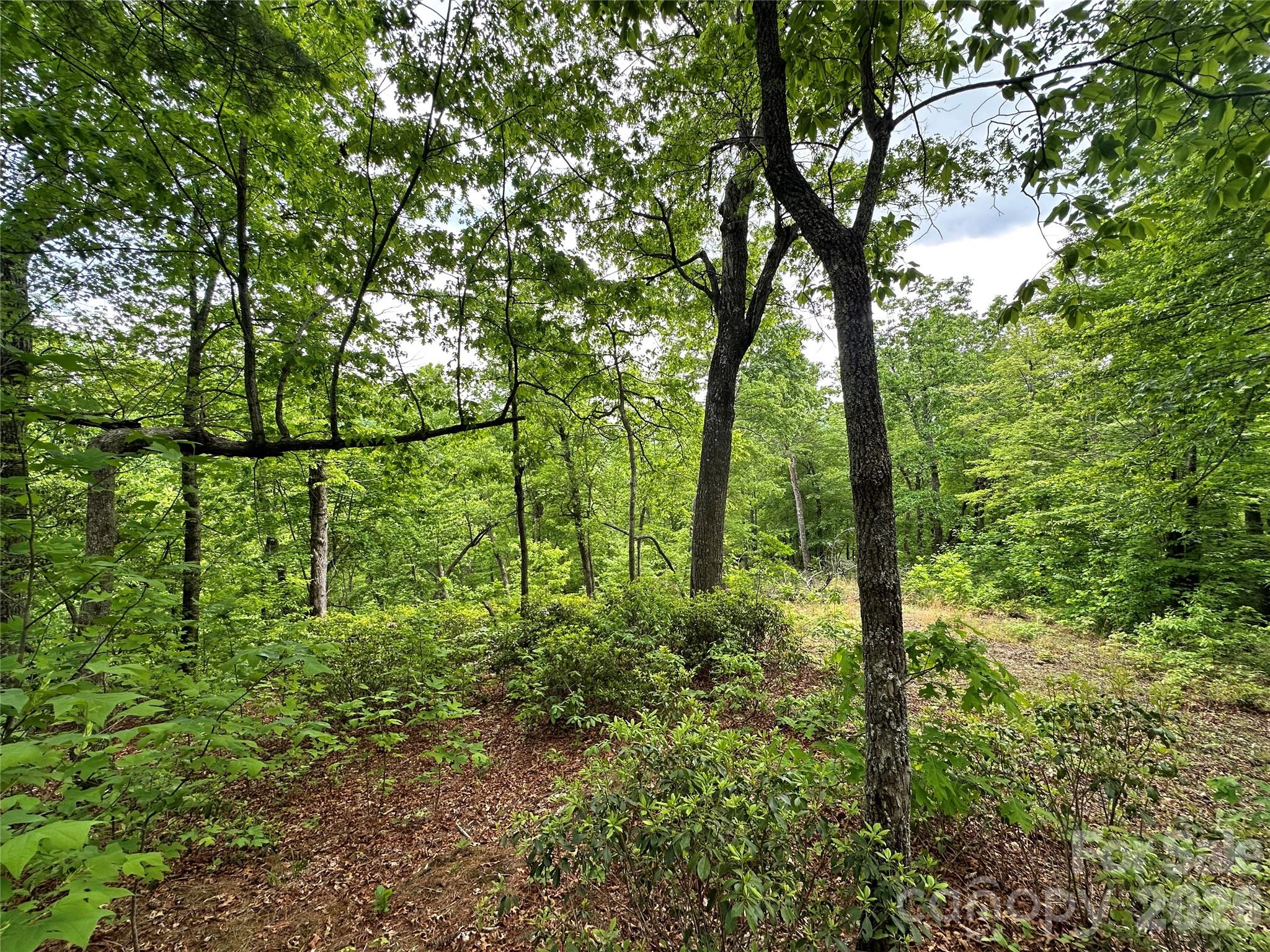 Bird Creek Estates - Land