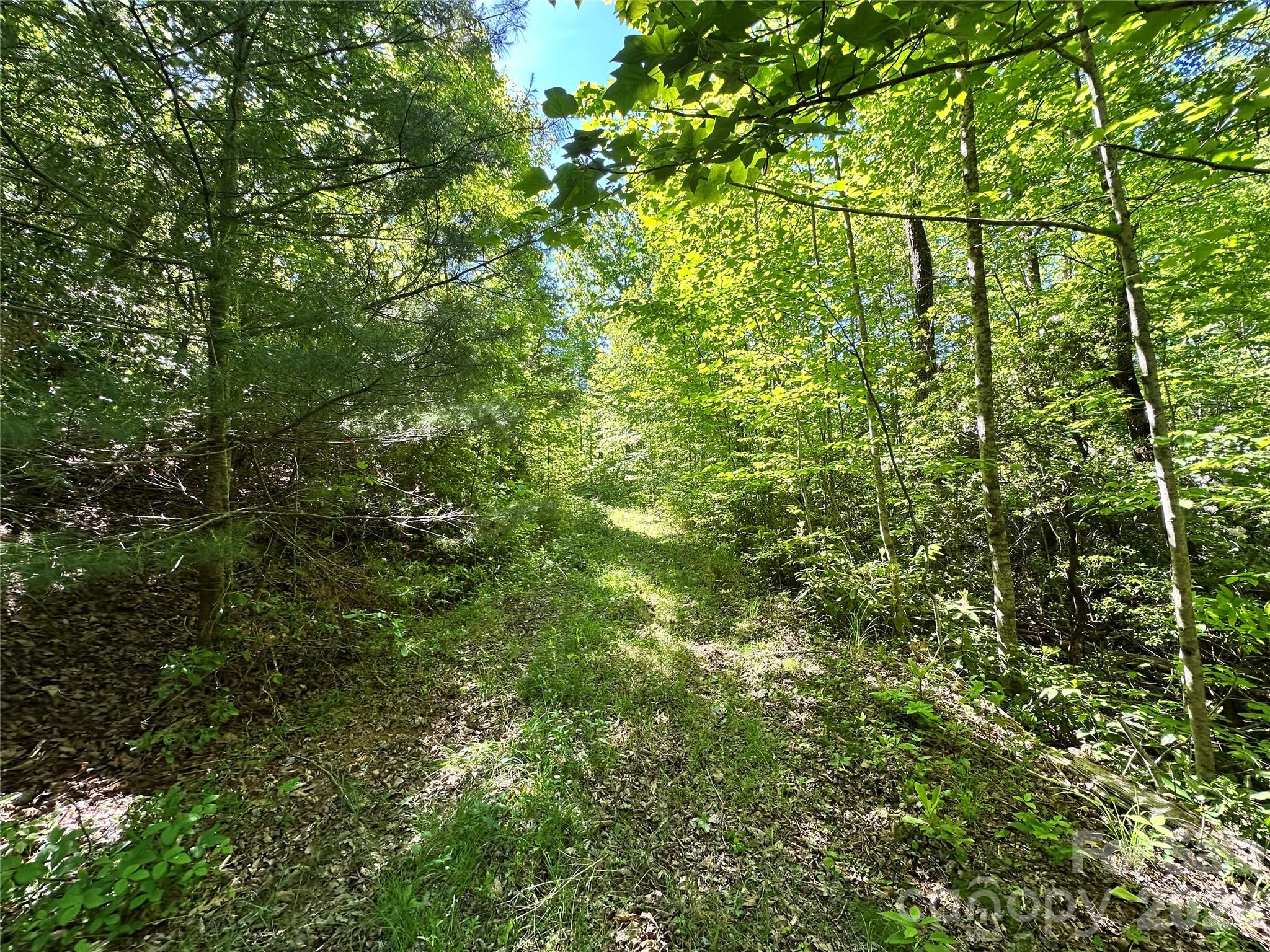 Bird Creek Estates - Land