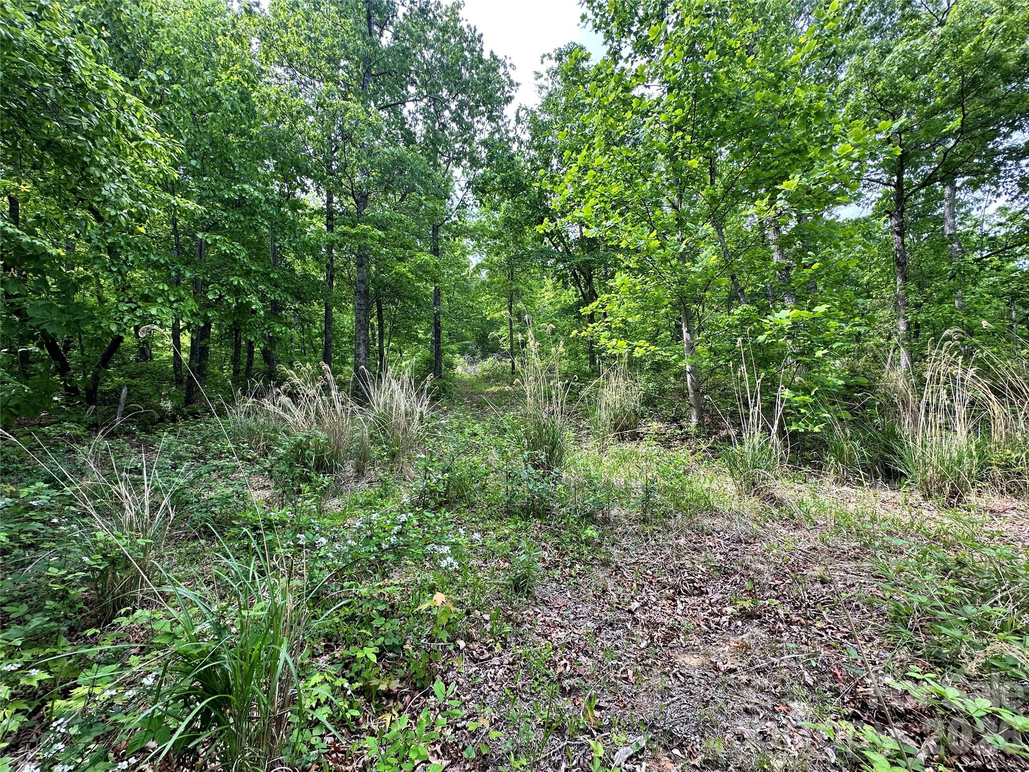 Bird Creek Estates - Land