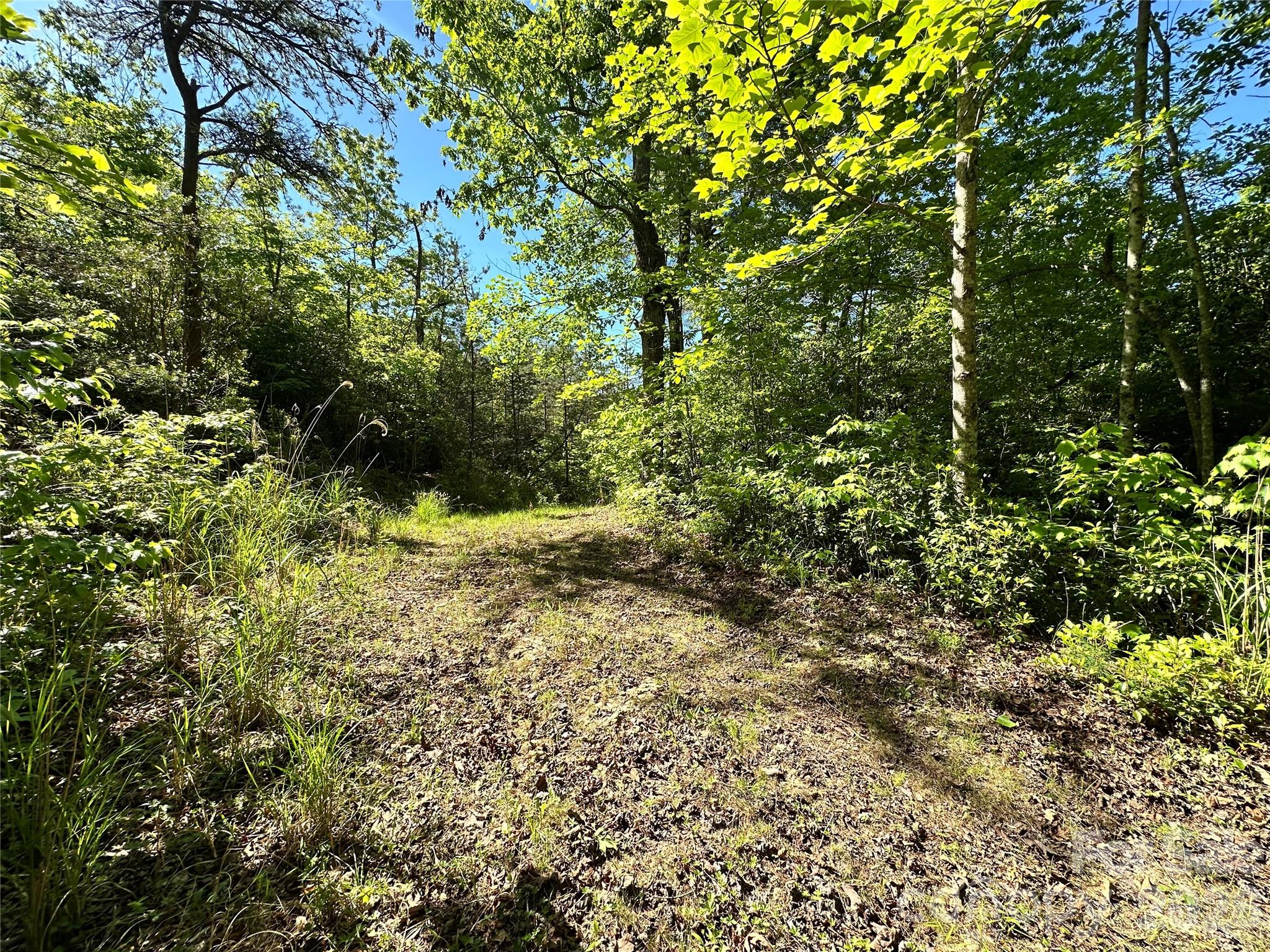 Bird Creek Estates - Land
