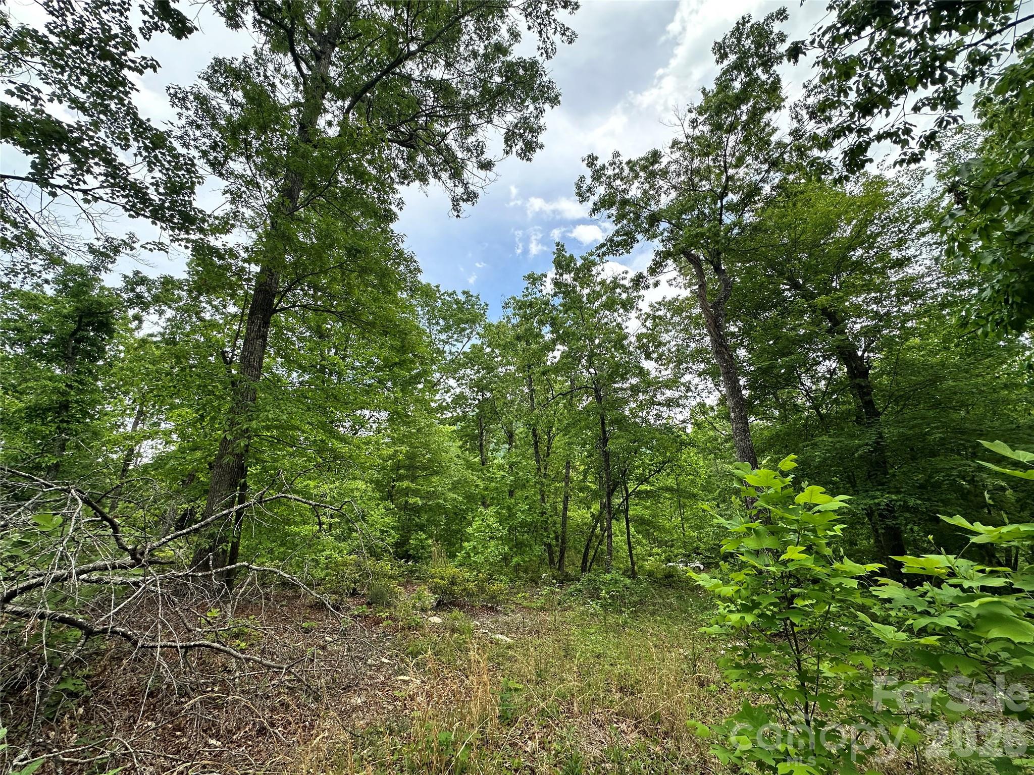 Bird Creek Estates - Land