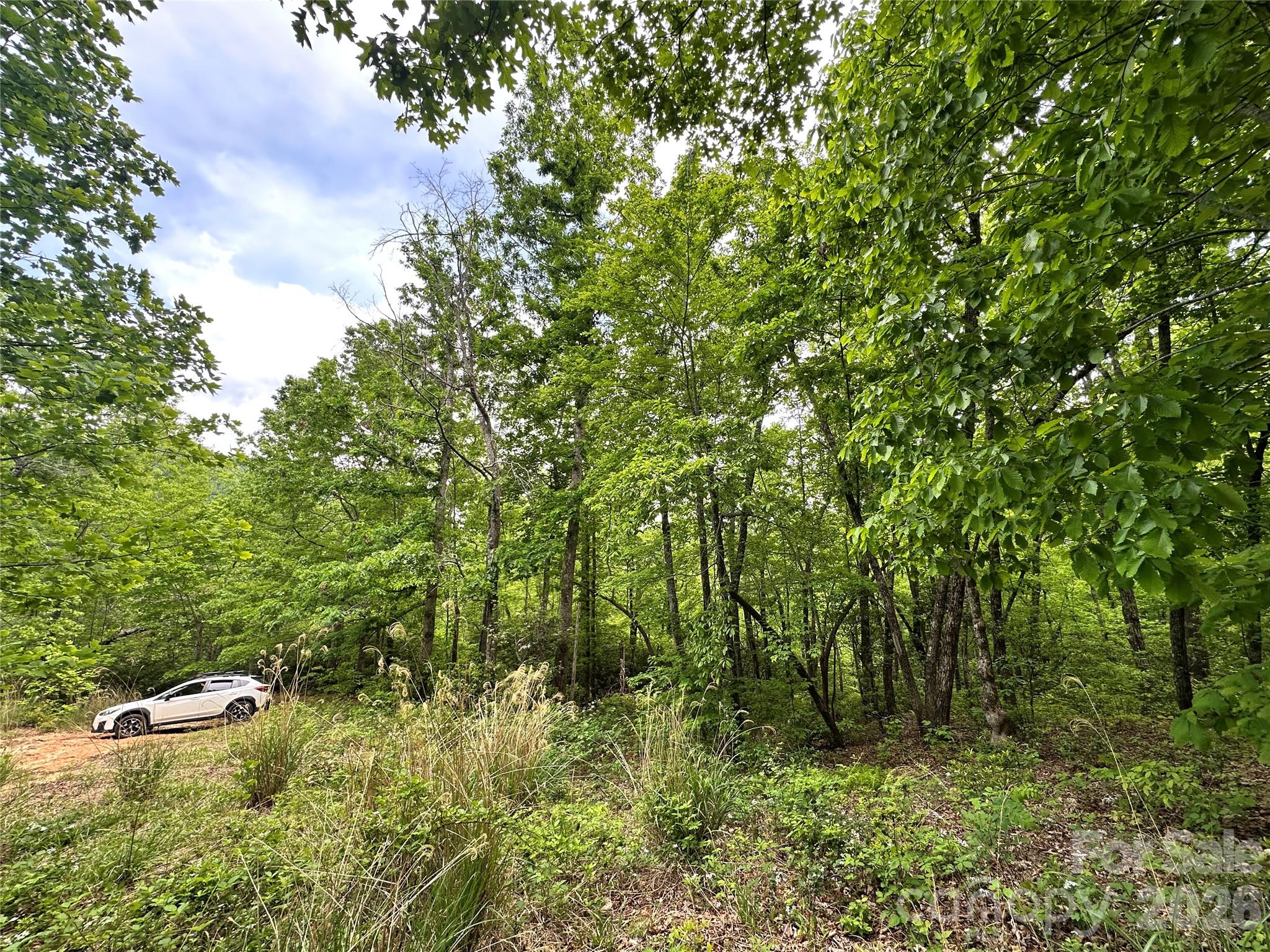 Bird Creek Estates - Land