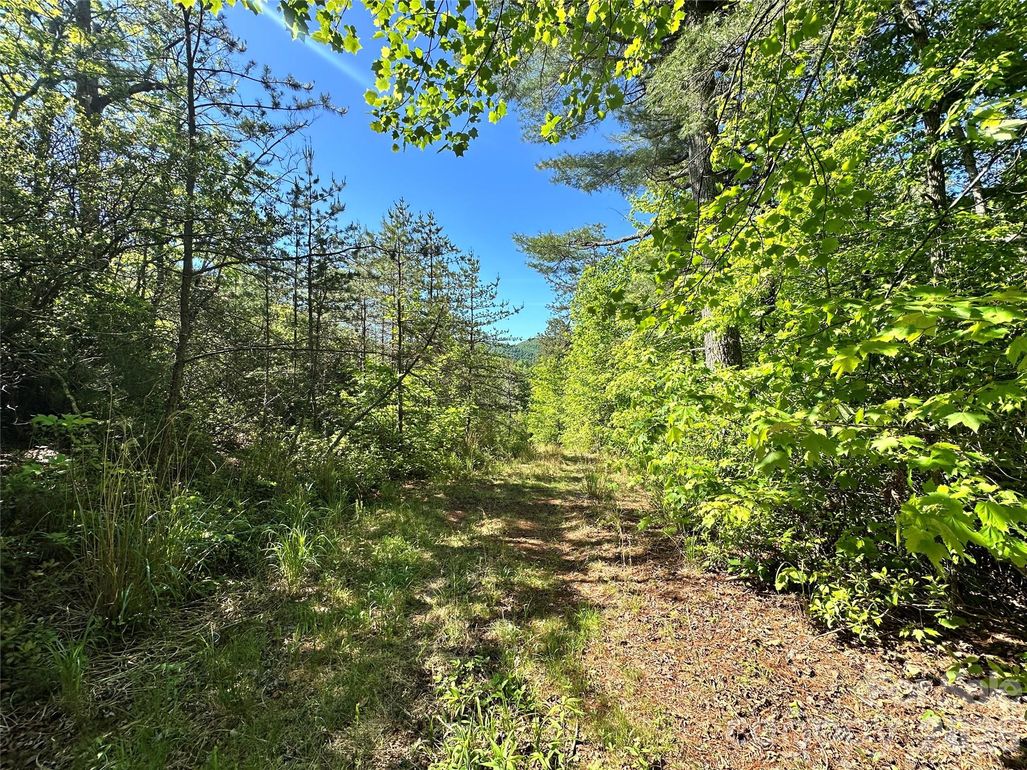 Bird Creek Estates - Land