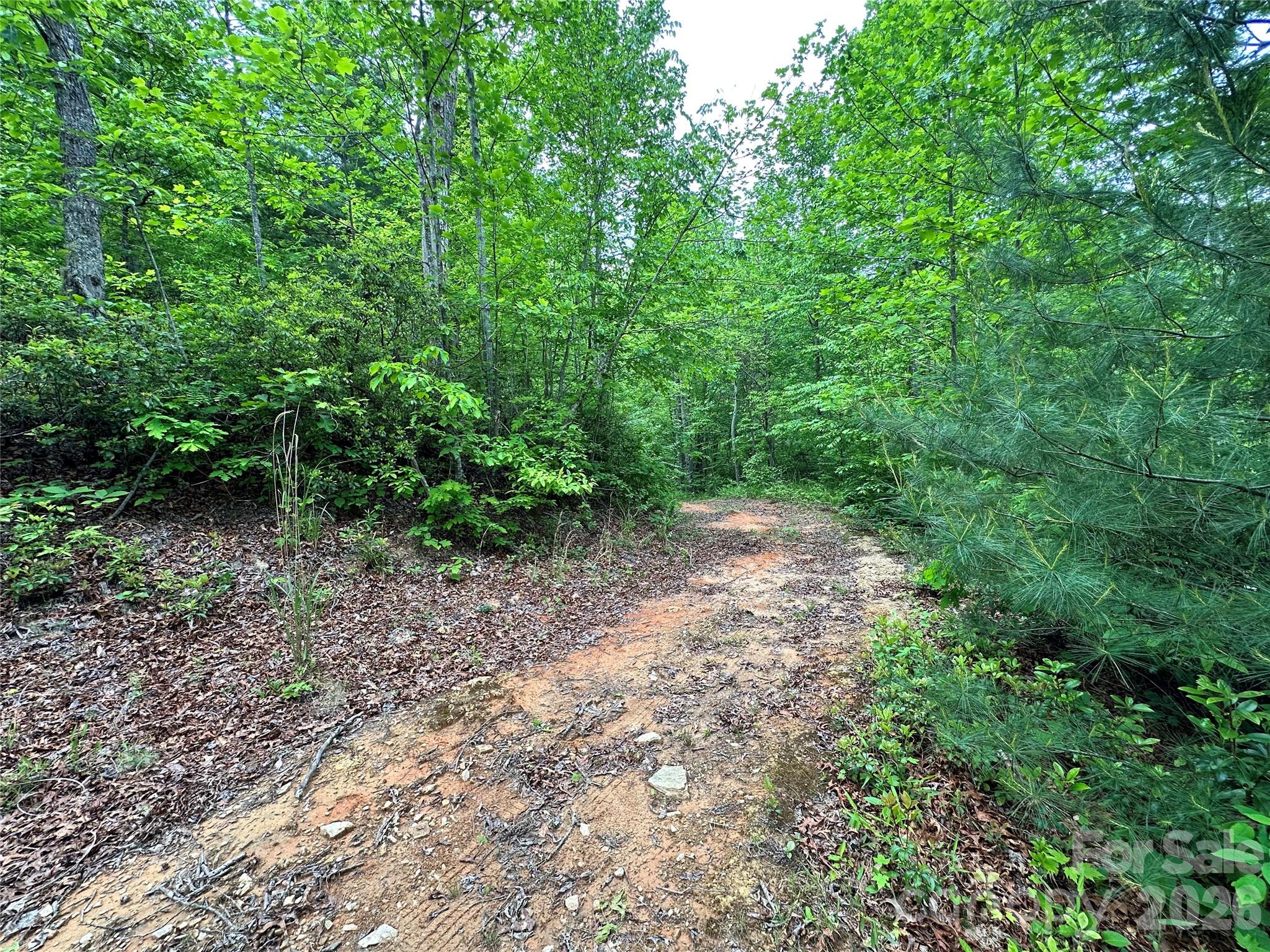 Bird Creek Estates - Land